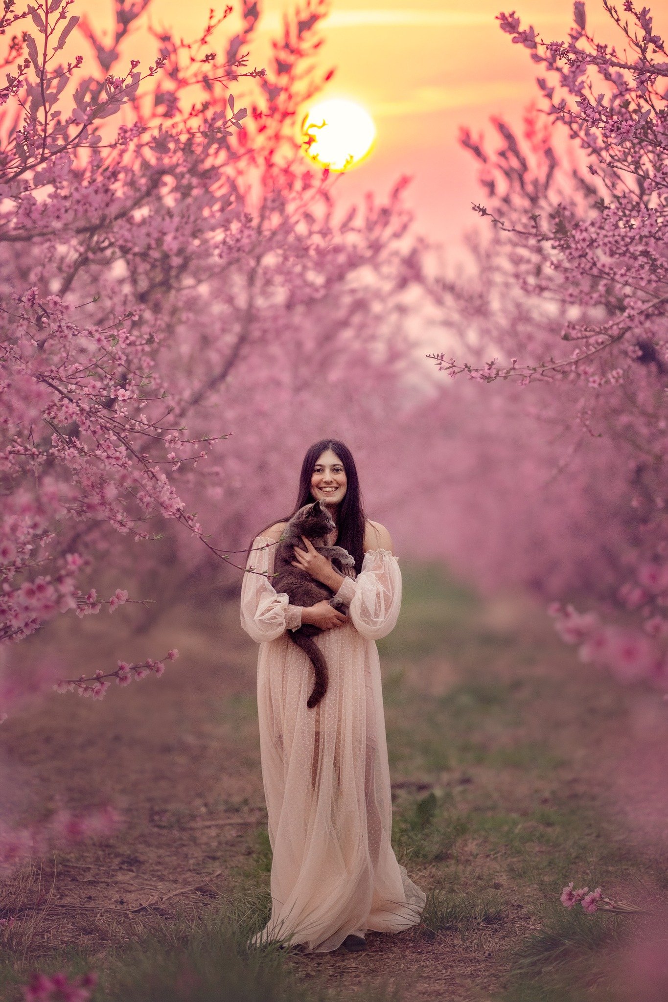 Here... barn kitty.. kitty... meow... if you know this kitty... he is the sweetest little guy. 

I don&rsquo;t think people realize how fast this part of the year comes and goes. You wait months for it, and then suddenly everything is blooming and gl