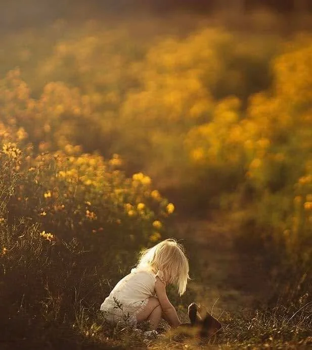 🌼 FALL WILDFLOWERS ARE BLOOMING! 🌼

This beautiful spot should be blooming for about one more week, and the best part? No permit required!

Bring the family, bring the pup (like this one is playing with here in the field), bring the kitty seriously
