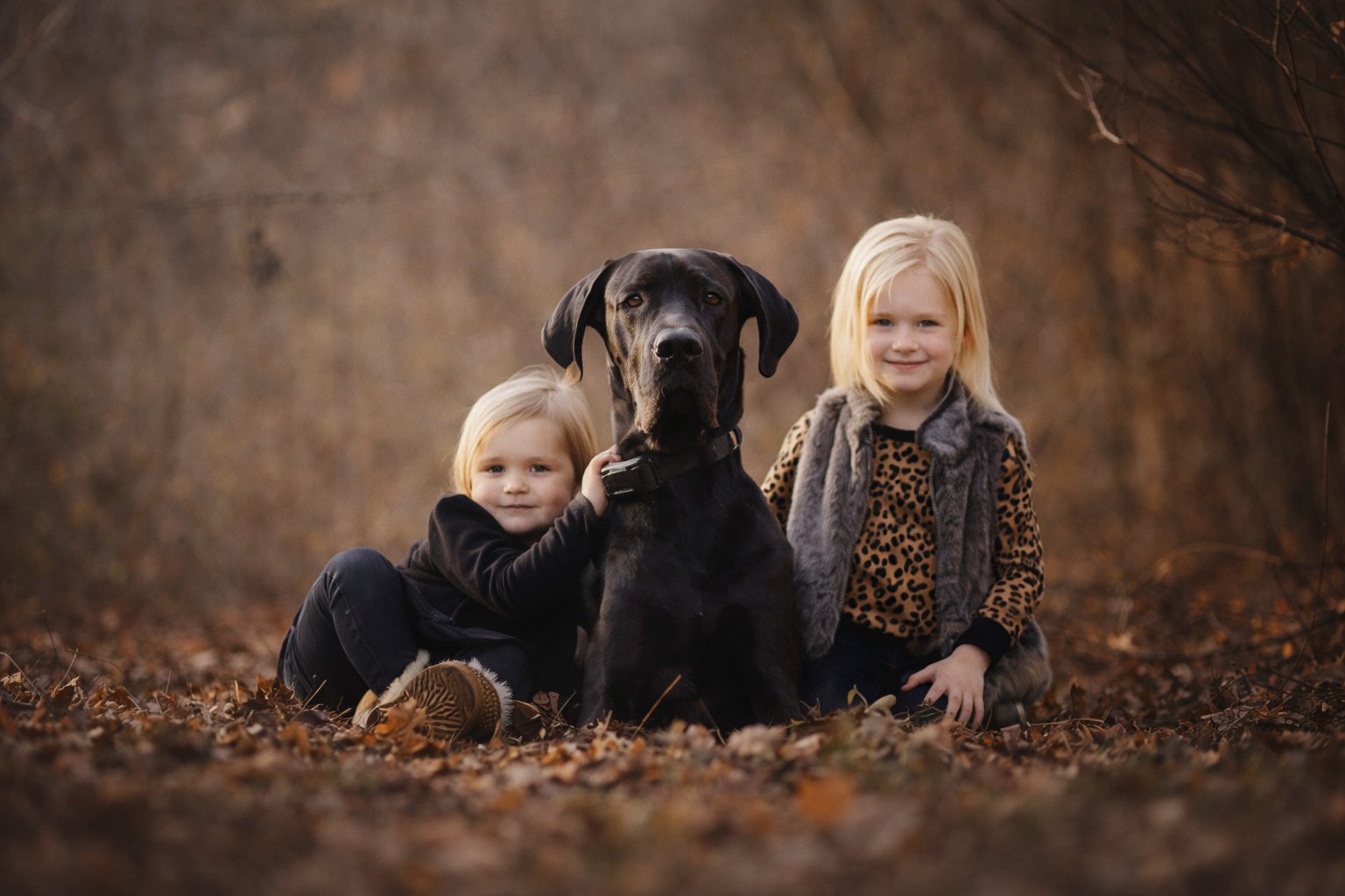 Children sitting with their dog for a cozy outdoor portrait captured by a South Jersey family photographer