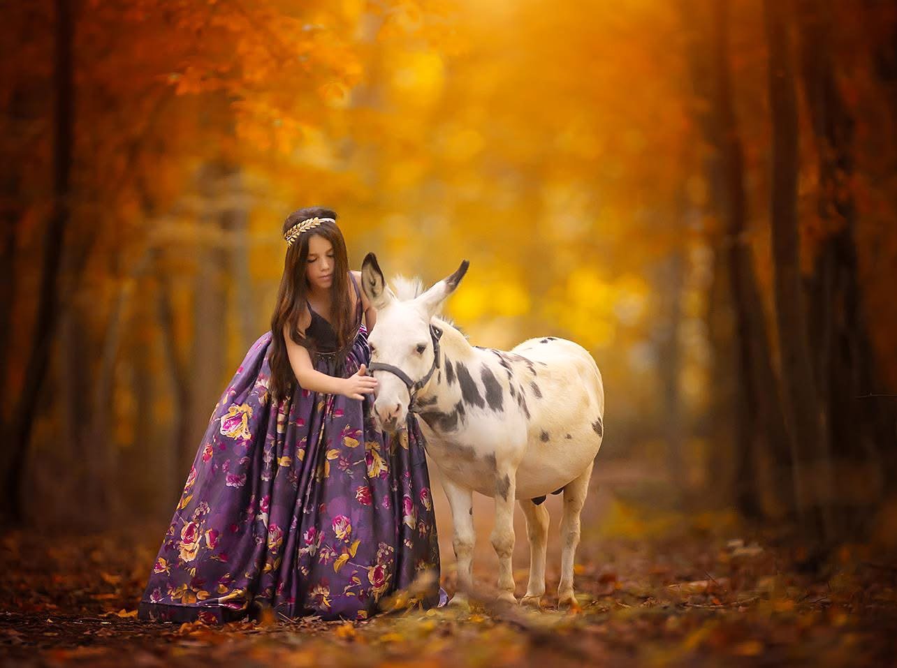 Girl wearing a flowing purple dress standing beside a donkey during a whimsical princess portrait session on a private farm