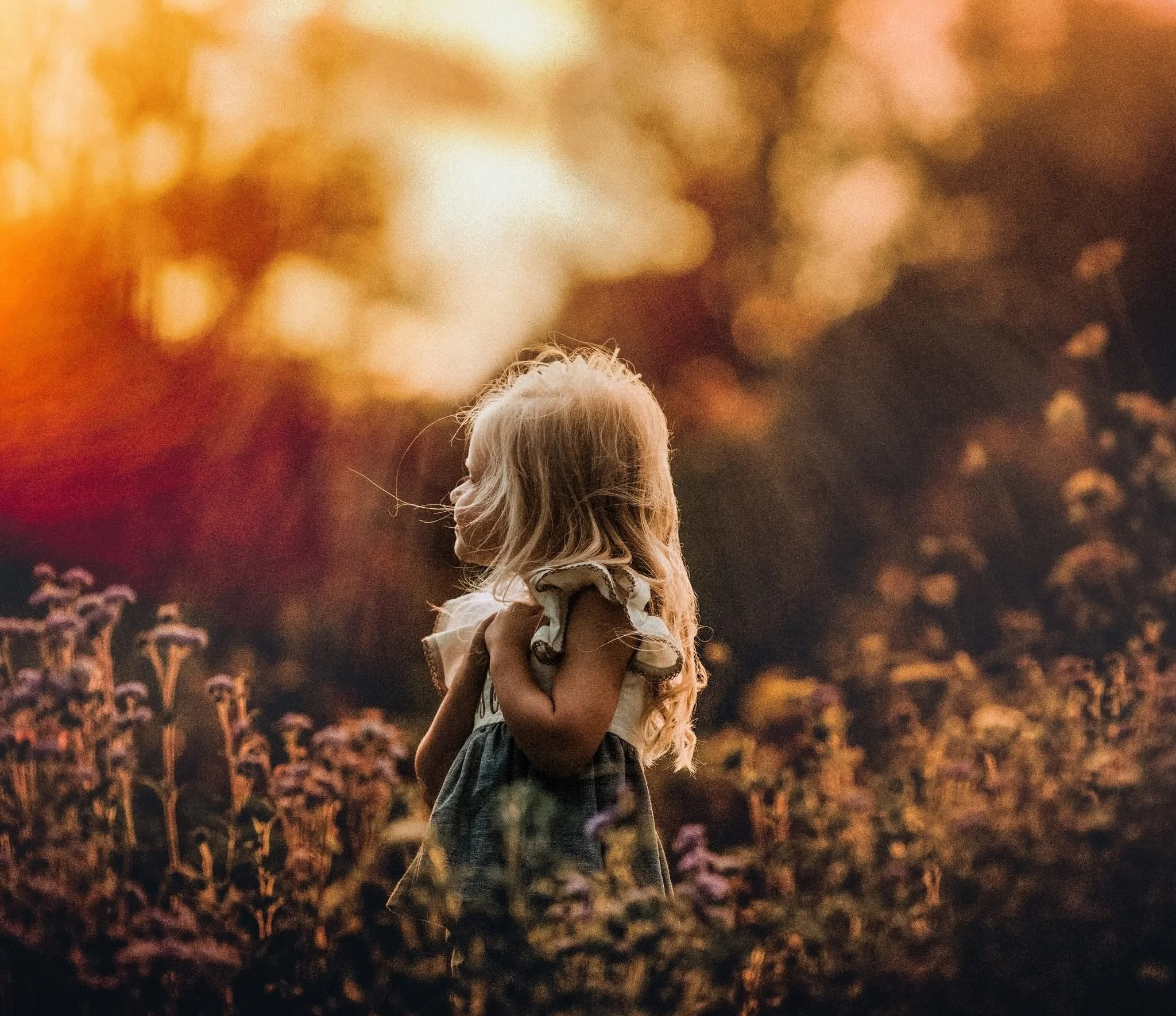 Young child sitting in an autumn field during a fall fine art portrait session with soft golden light