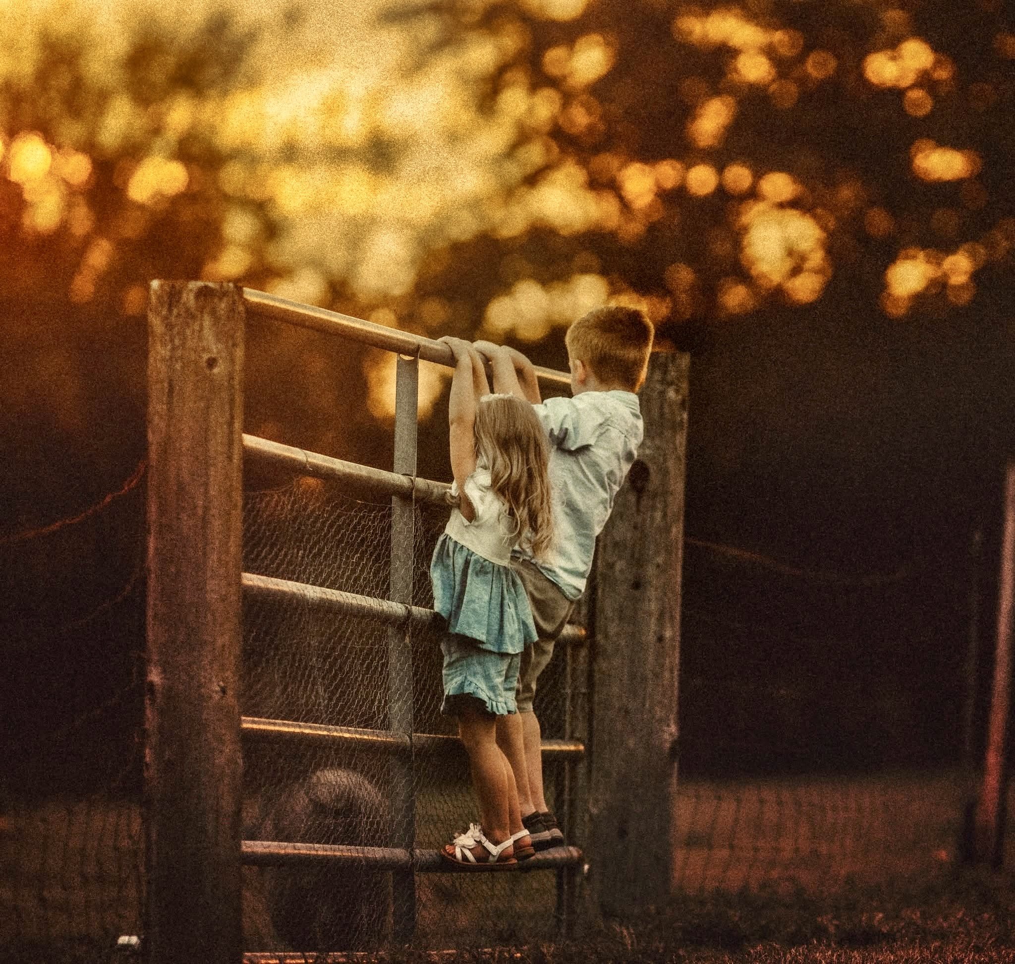 Children climb a wooden fence on a quiet farm, captured in soft natural light for a fine art portrait that reflects playful movement and childhood exploration in South Jersey.