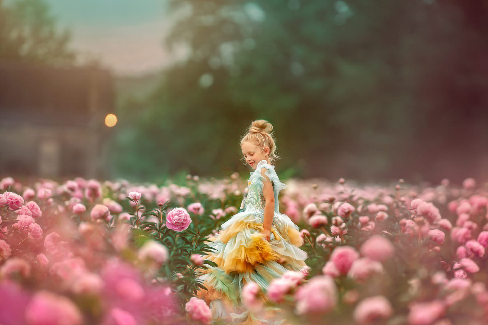 peonyIMG_0677-(4).jpg