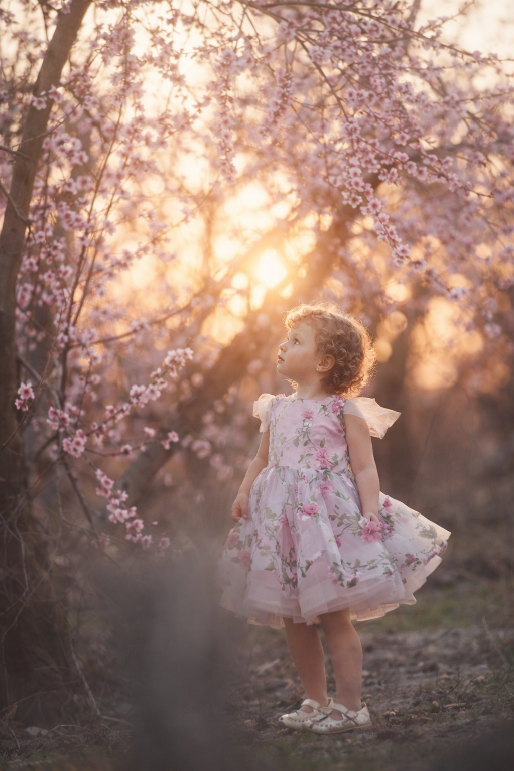 A soft spring portrait among blooming peach blossoms, where delicate petals frame a quiet, timeless moment. Gentle light, natural movement and pastel tones, create a serene fine art image that feels both whimsical and classic.