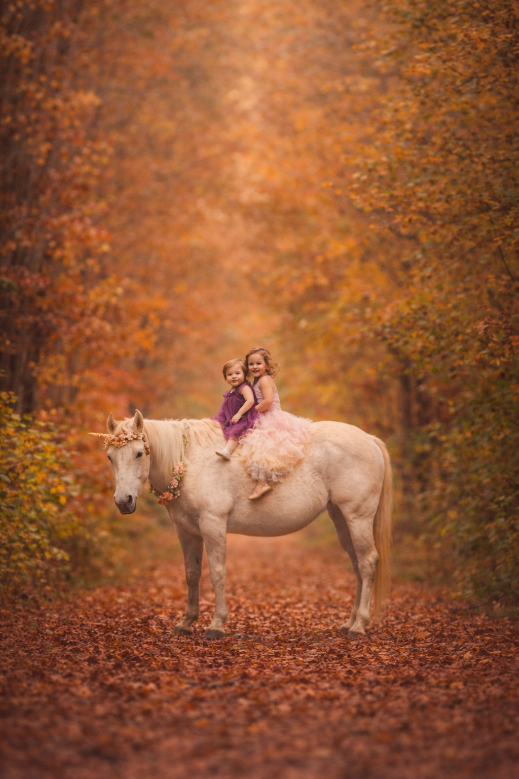 Fine art portrait of a real unicorn photographed in warm autumn tones, styled for a whimsical children’s photography experience in New Jersey.