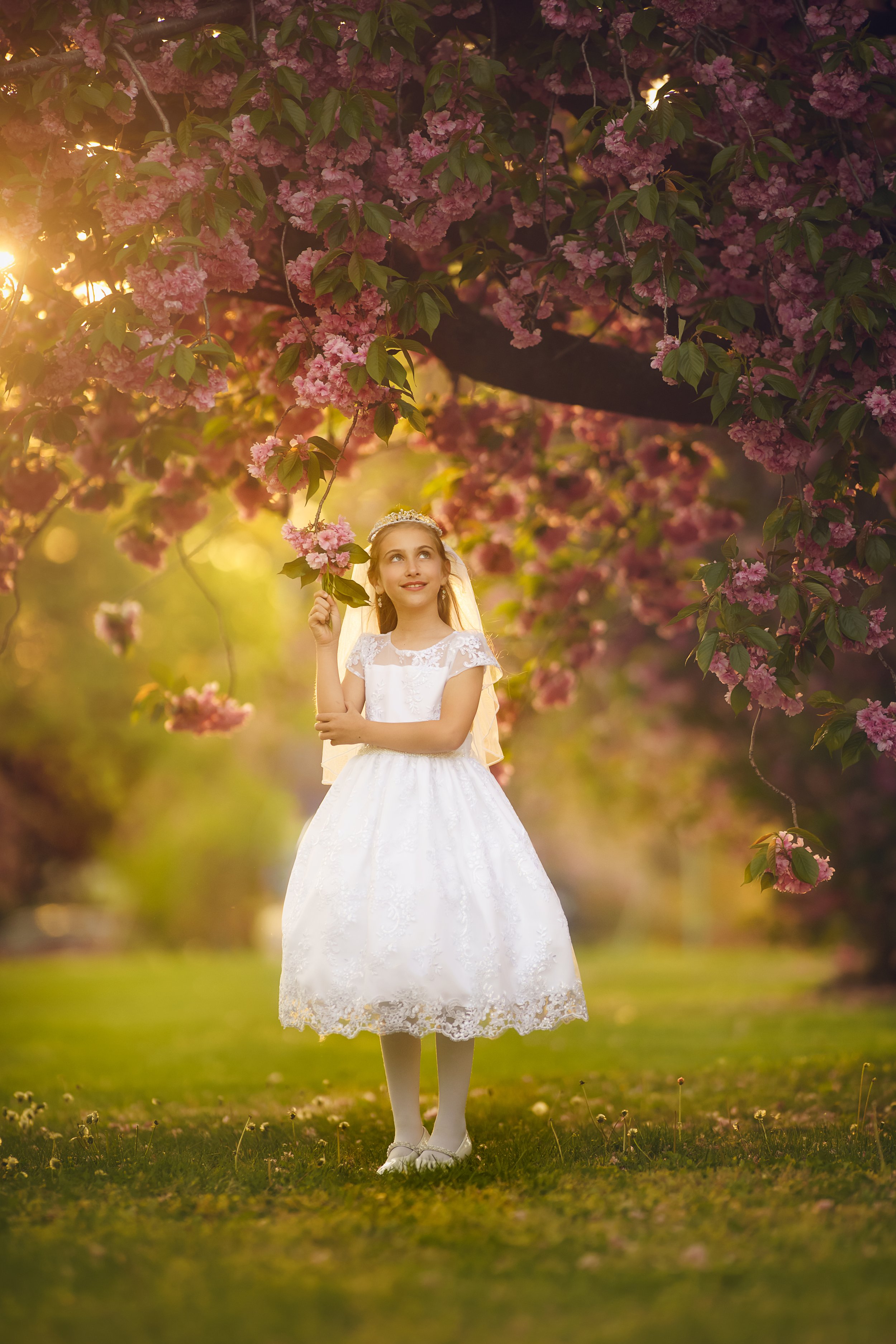 First Holy Communion portrait session among cherry blossoms in New Jersey