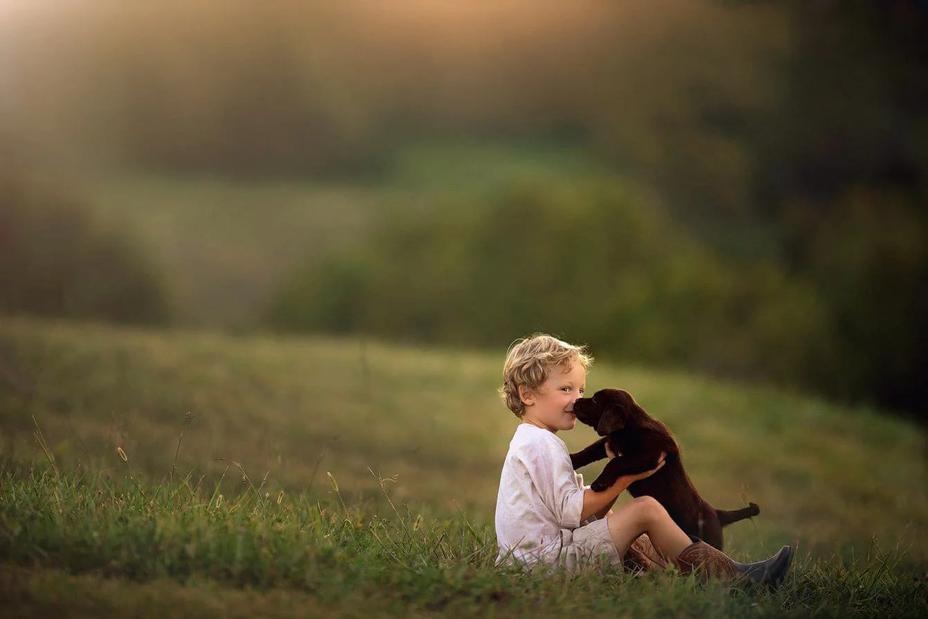 Toddler sitting with a puppy during a warm, natural light baby and toddler portrait session in South Jersey.
