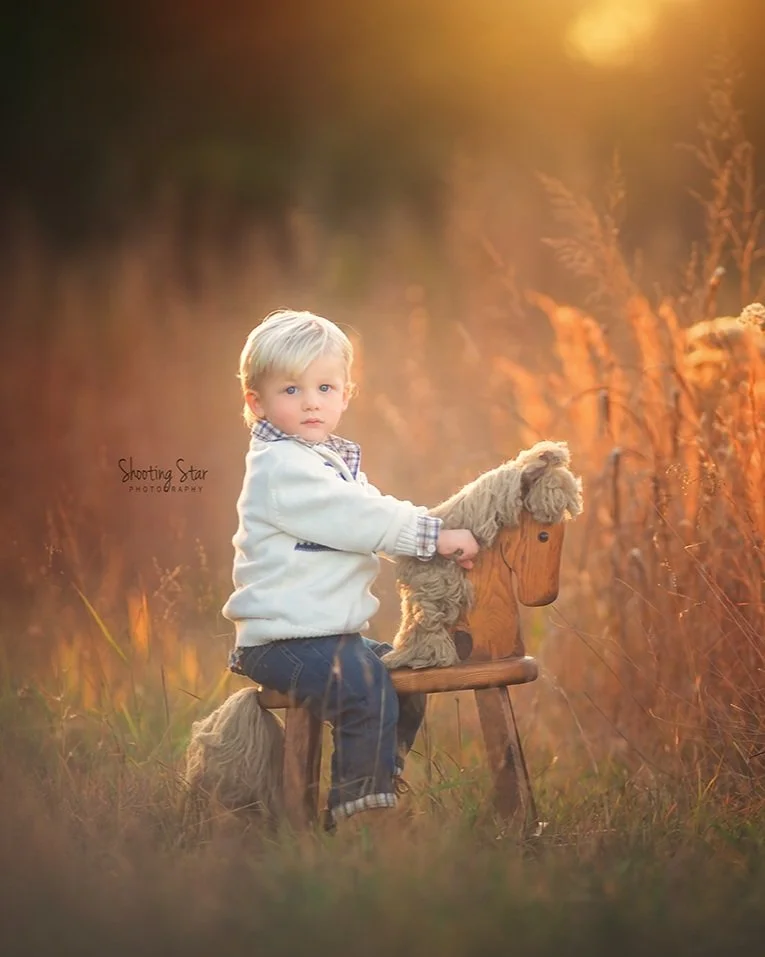 Toddler boy playing on a rocking horse during a family photography session in Millville New Jersey photographed by a South Jersey photographer.