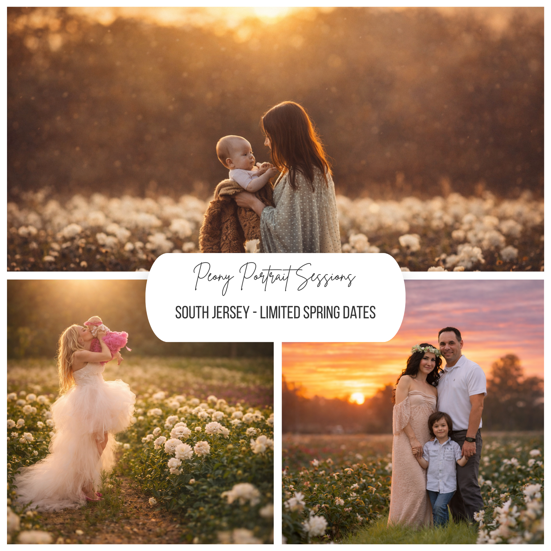 Collage of families photographed in peony fields in South Jersey