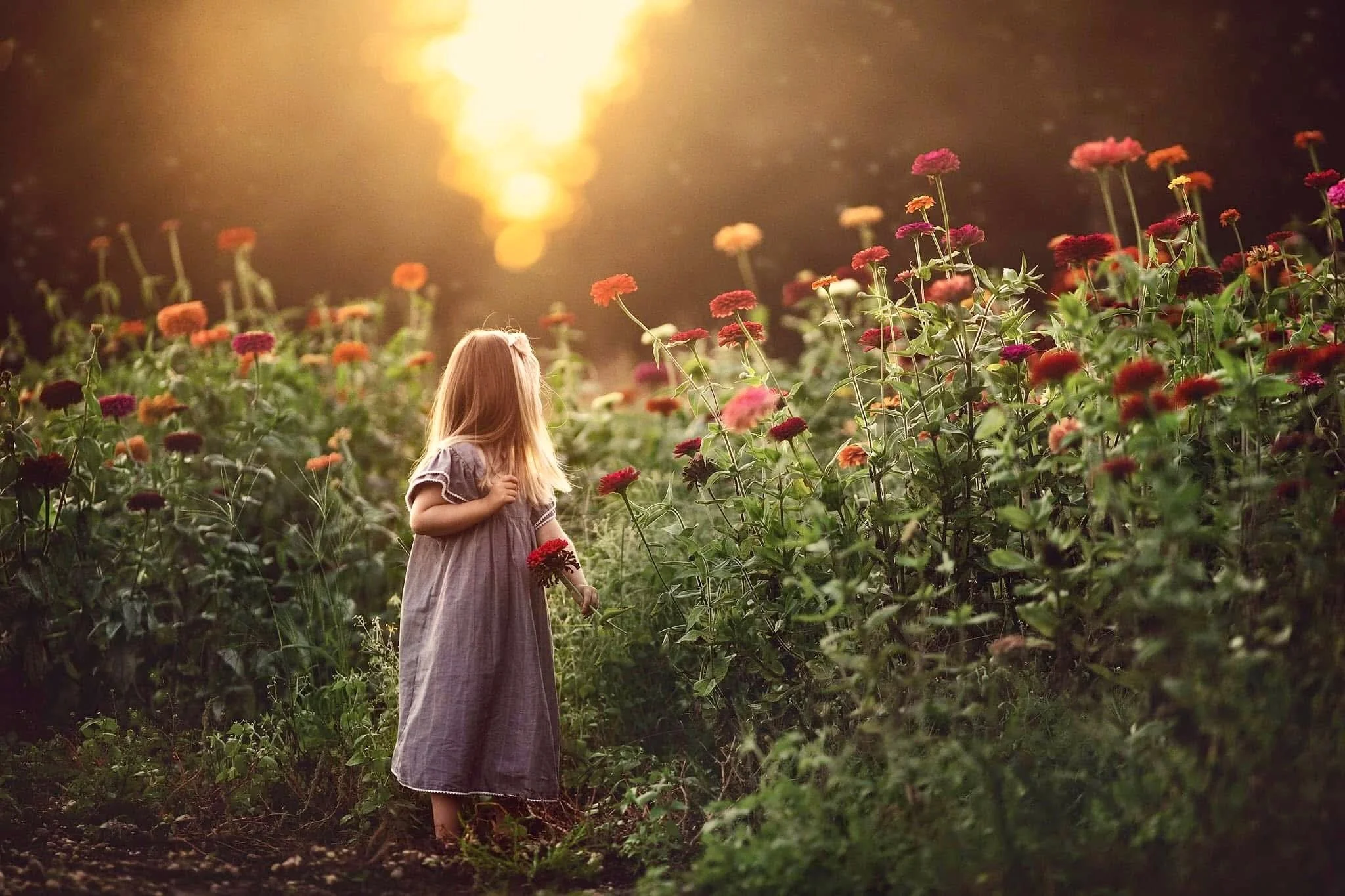 Young girl standing in a flower field during a seasonal fine art portrait session at sunset with warm golden light