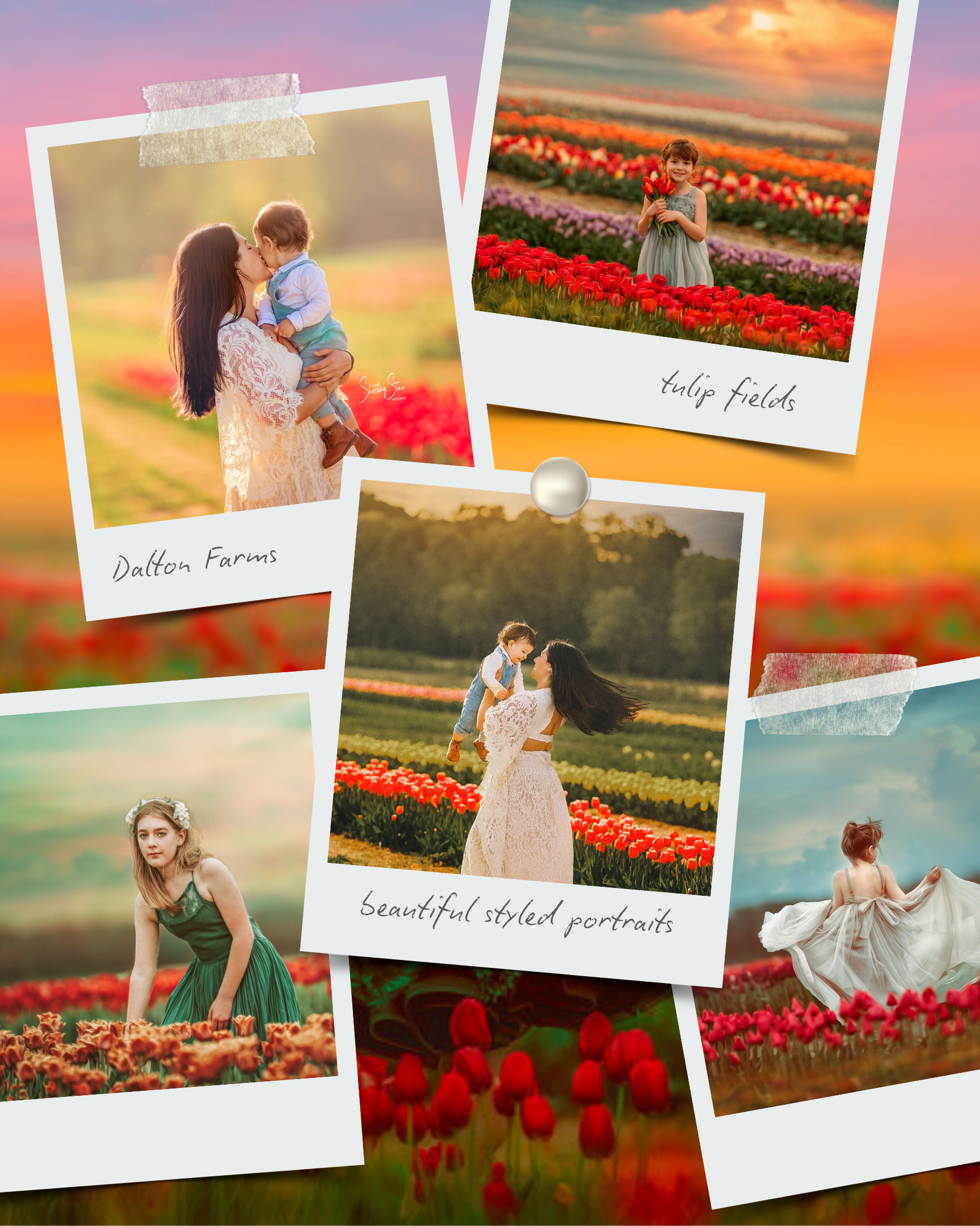 a collage of beautiful images of the tulips at dalton farms.