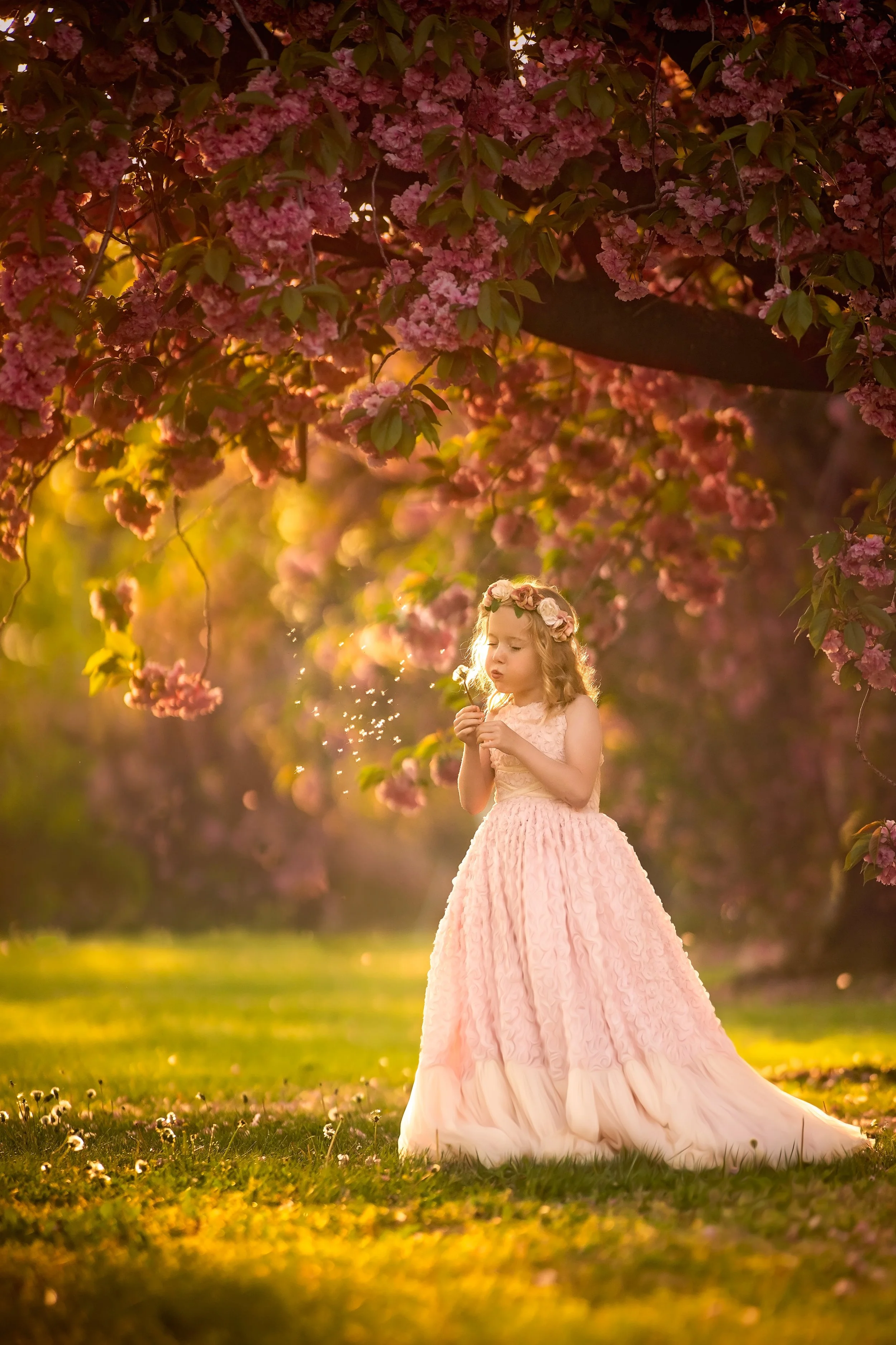 Young girl blowing dandelion wishes during a natural light family photography session in Cherry Hill, New Jersey.