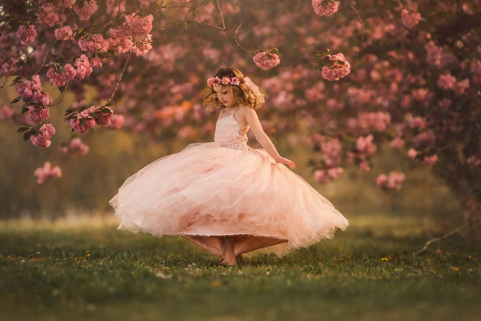 Little girl twirling beneath blooming cherry blossom trees during a spring portrait session in New Jersey.