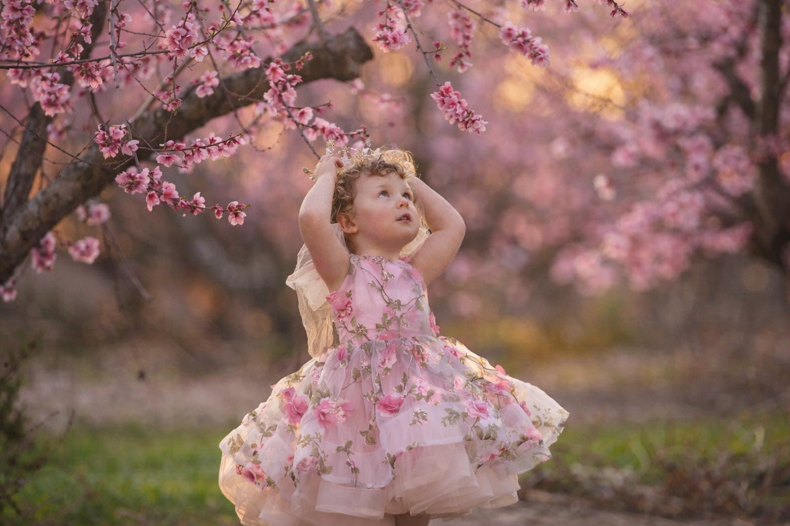 Toddler girl placing a flower crown on her head at sunset among peach blossoms during a fine art seasonal portrait session in New Jersey.