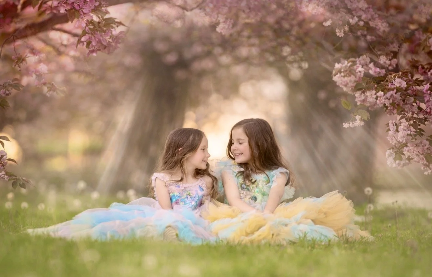 Two sisters in blue dresses looking at each other beneath blooming cherry blossoms in Cherry Hill, New Jersey.