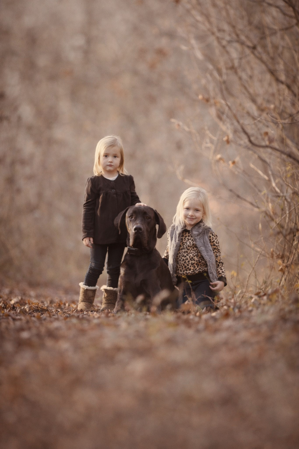 Emotional family portrait of siblins with their dog in a wooded setting captured in a warm heirloom style by a South Jersey family photographer