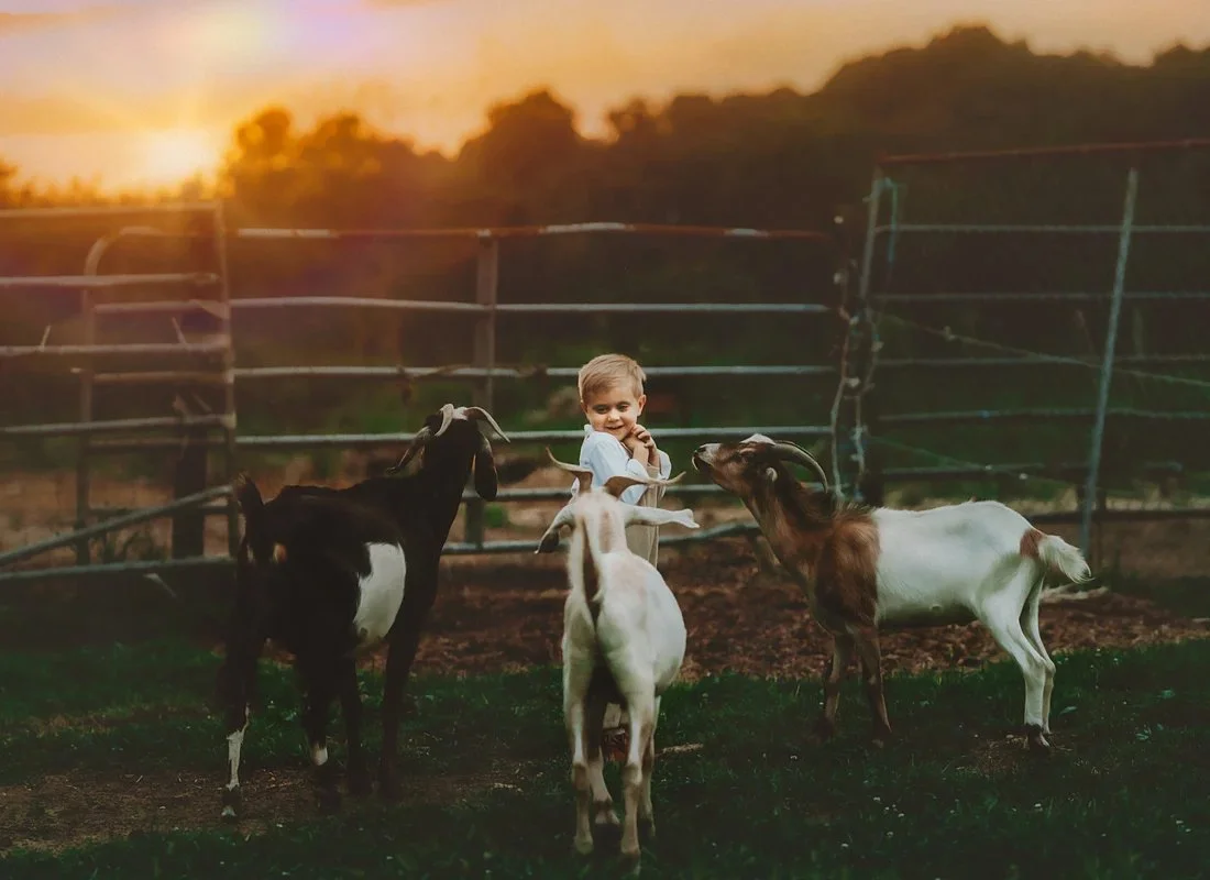 Boy playing with goats during sunset in NJ family mini session
