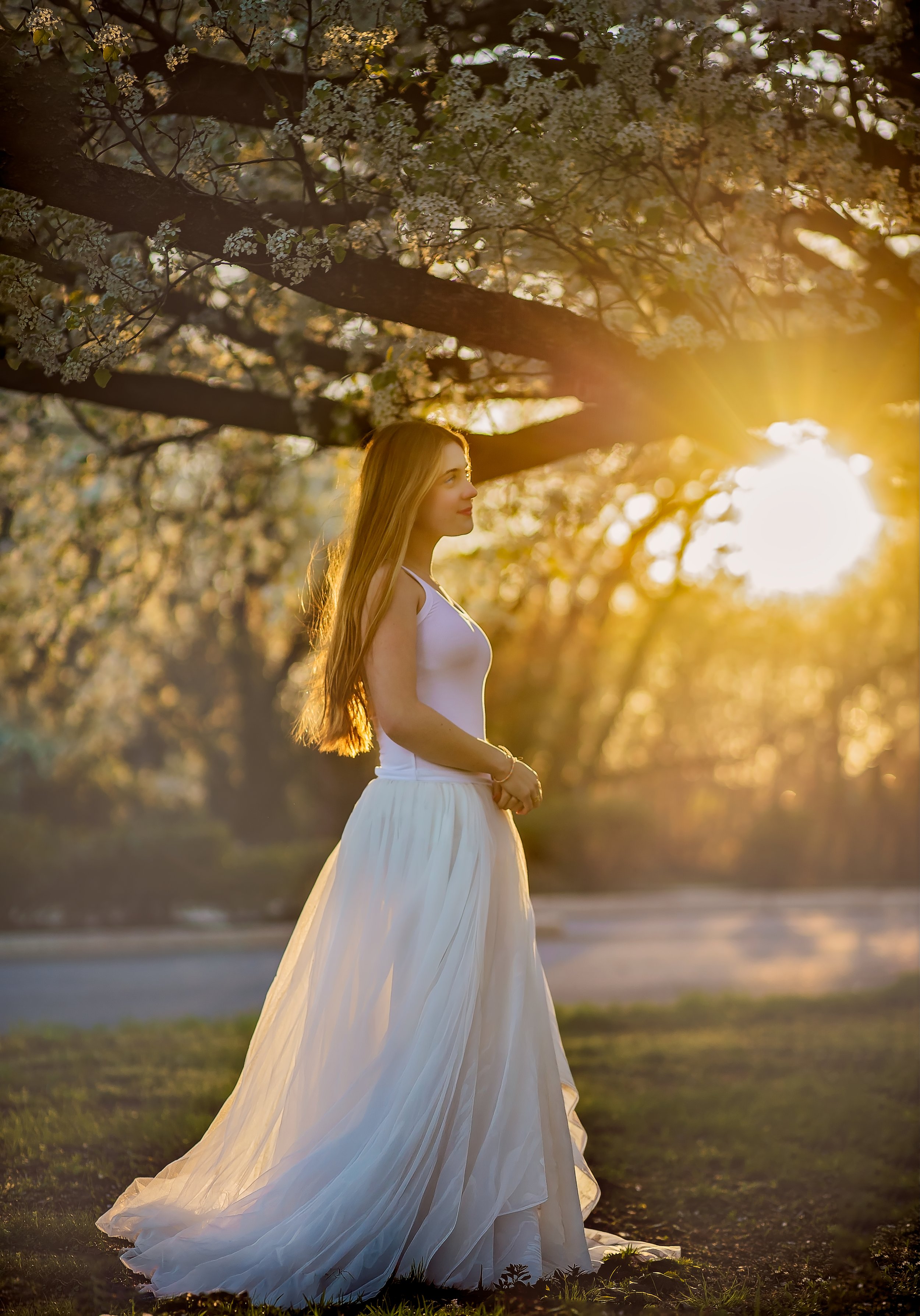 Pear Blossom Photos in Westville, NJ (Senior &amp; Teen Portraits in South Jersey)