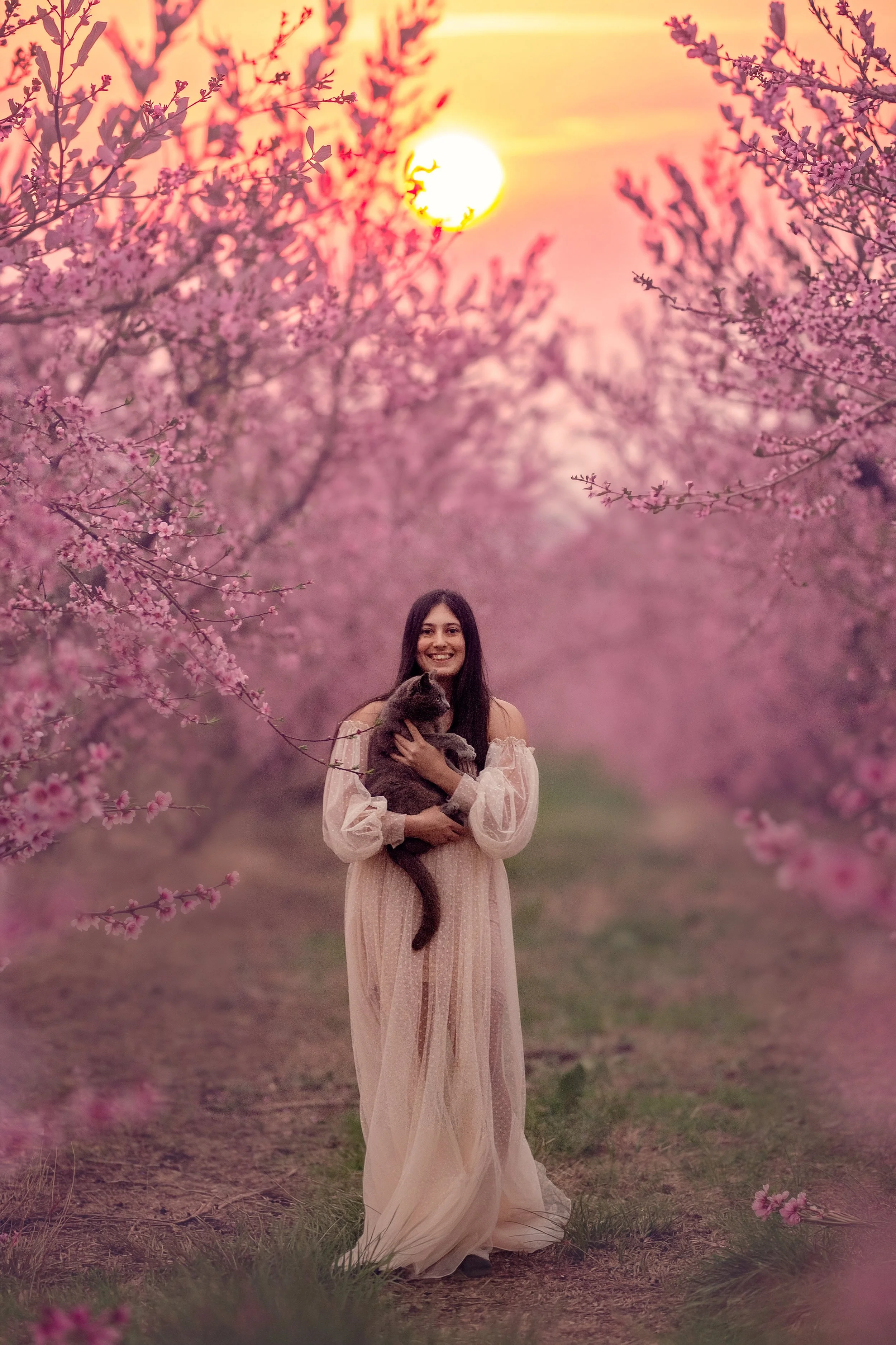 Teen portrait holding her cat in a blooming peach orchard during spring in New Jersey