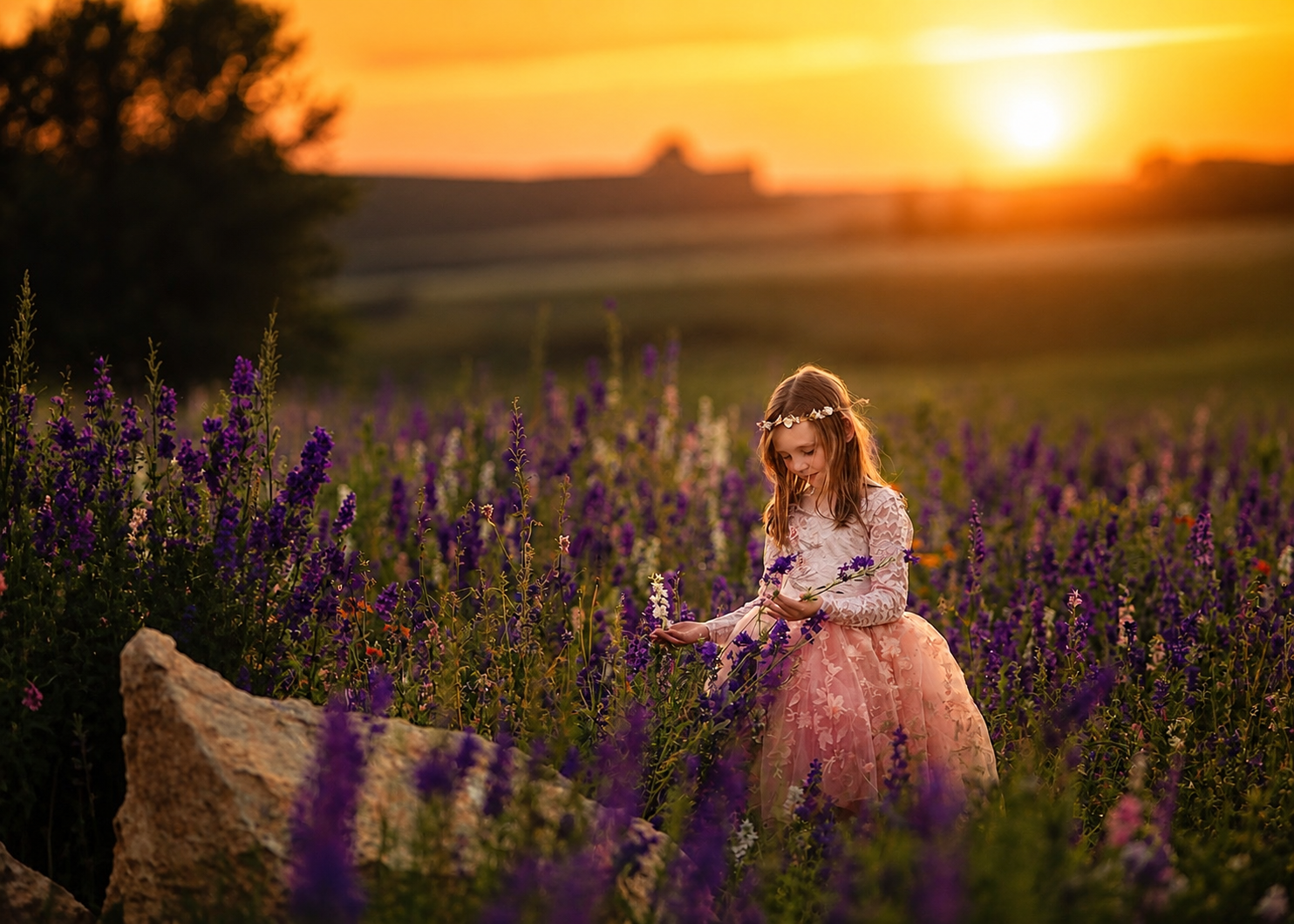 a summer sunset in wildflowers and delphiniums in New Jersey