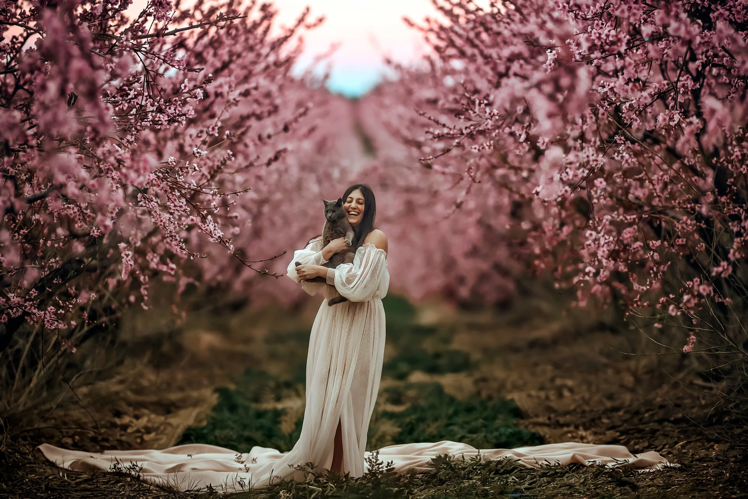 a beautiful capture of a girl in the peach orchard at blue hour with her cat in Upper Deerfield NJ