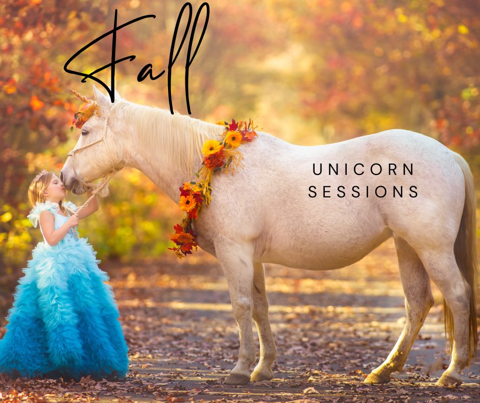 Fall Unicorn Sessions – Trusted Photographers in South Jersey