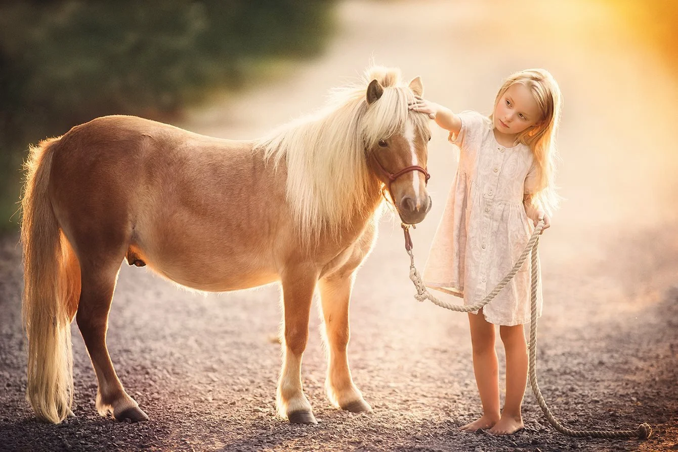 A quiet moment of connection as a young girl pets a pony in warm, glowing light, creating a timeless fine art portrait inspired by nature and childhood wonder in South Jersey.