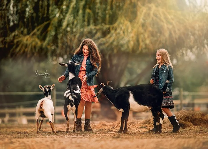 Children playing and interacting with goats during an outdoor portrait session