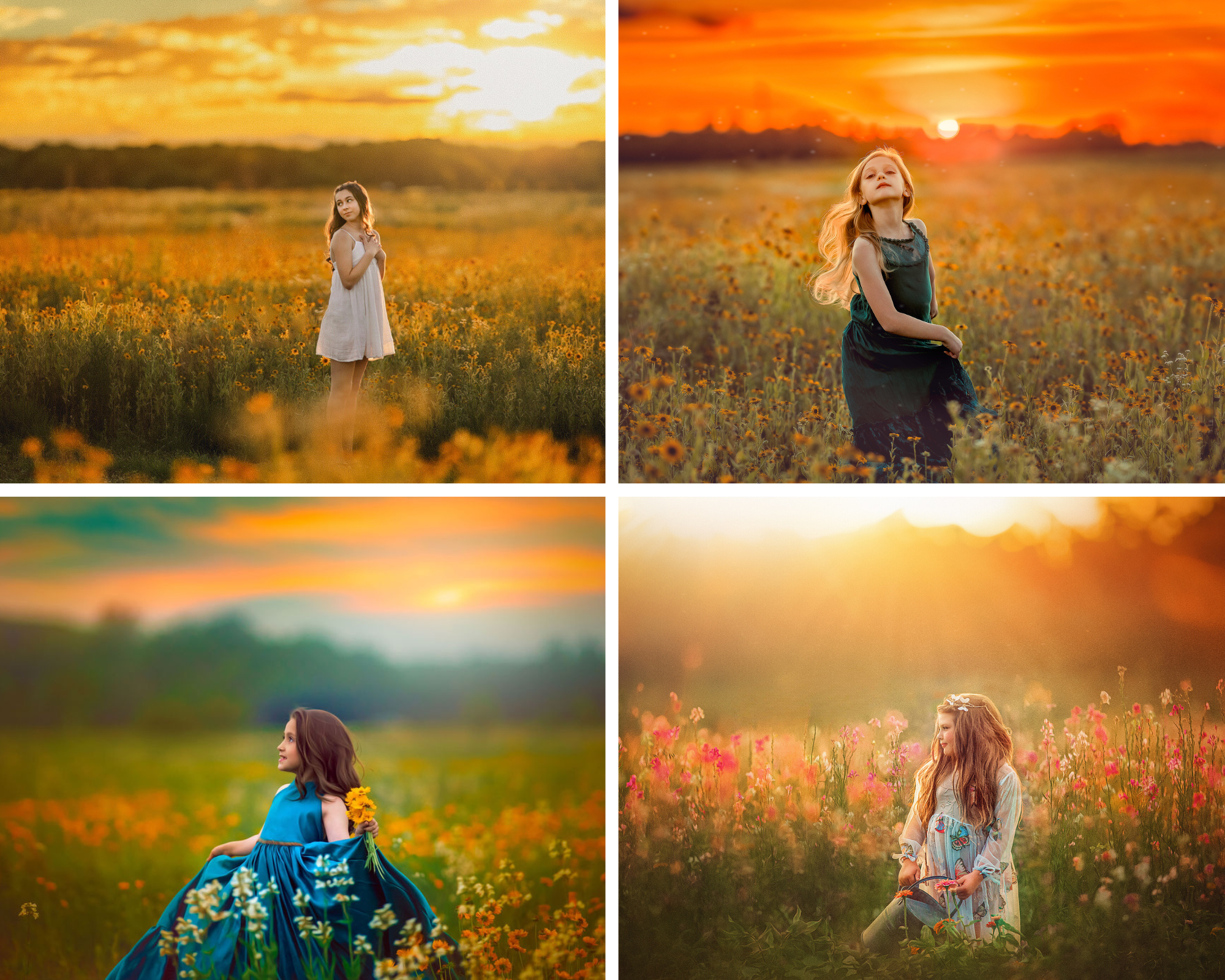 Collage of yellow wildflower field used for family and child portrait sessions in South Jersey