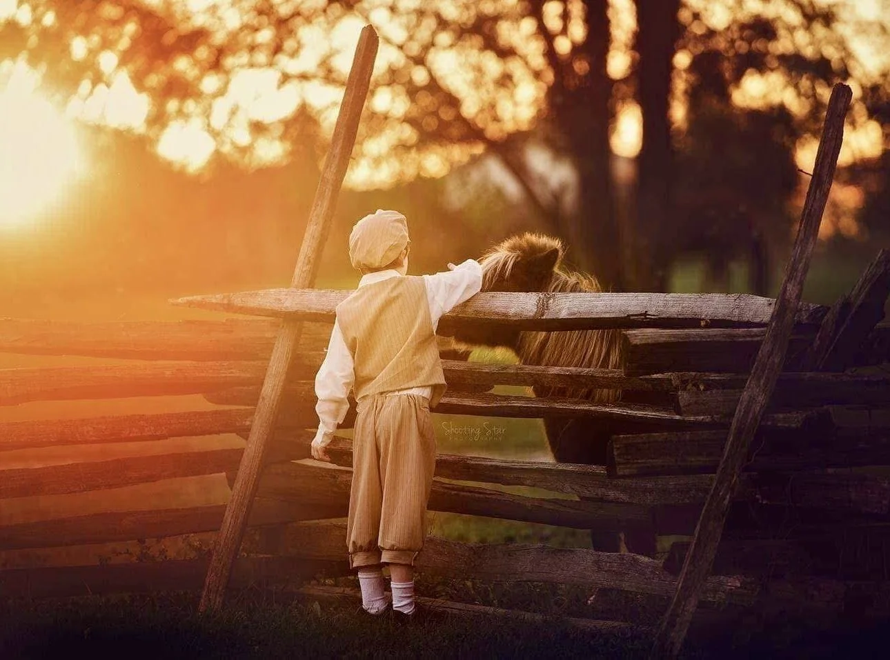 Child standing near a rustic fence during a fall fine art portrait session with golden autumn light
