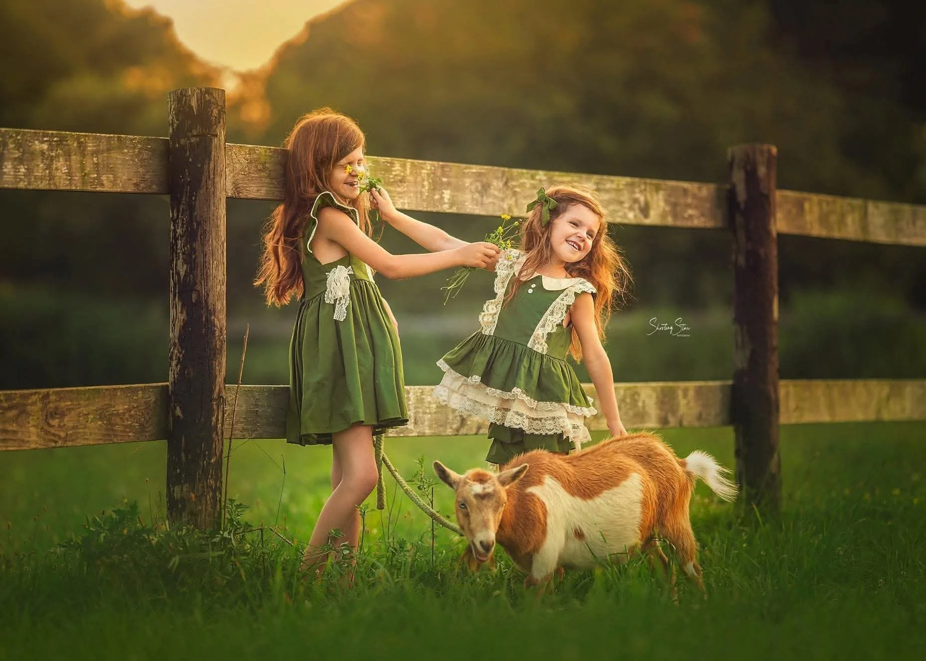 Fine art children’s portrait of two young sisters in matching green dresses playing together by a wooden fence with a small goat on a sunlit farm in New Jersey.
