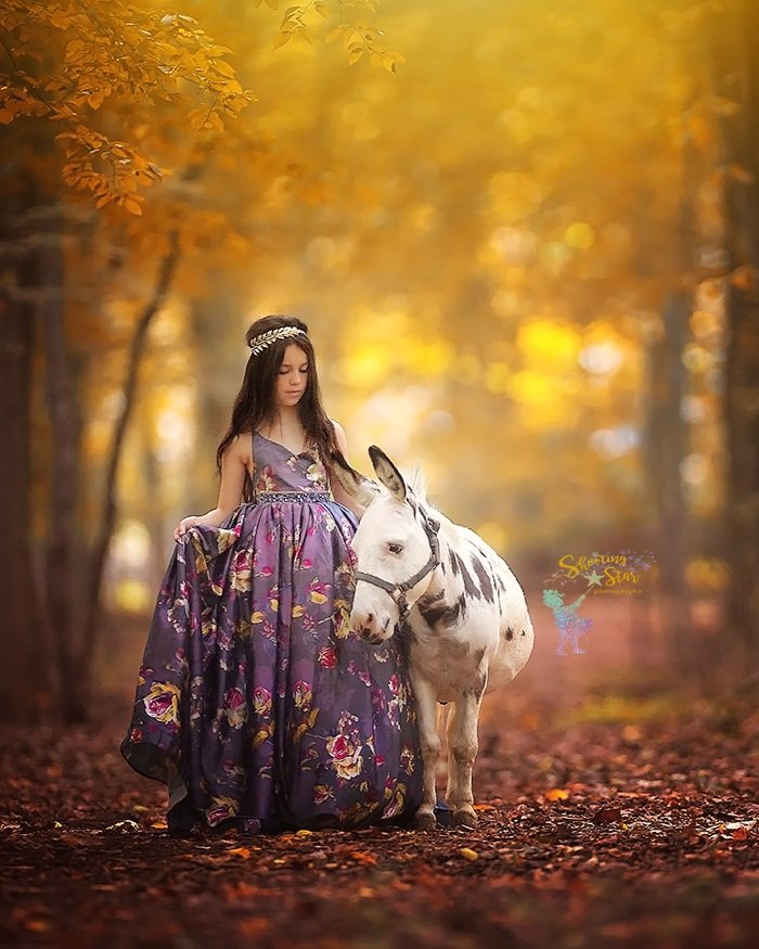 luxury brand photography for children in the united states. Best unicorn photographer in the united states