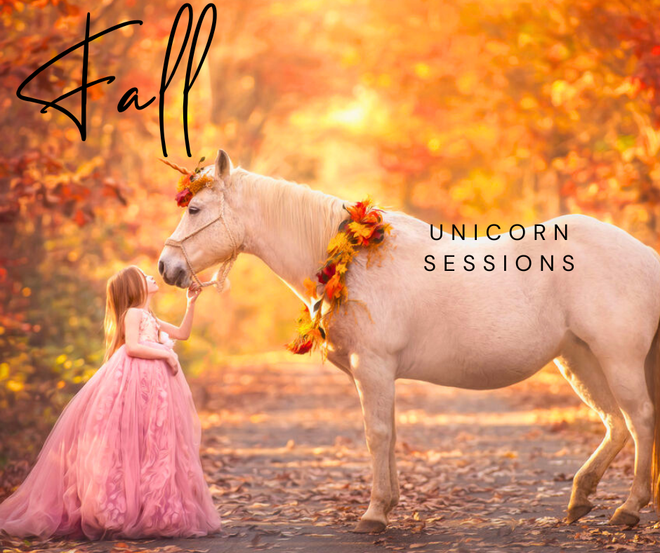 a girl kissing a unicorn in the fall forest for a 2026 photoshoot in NJ