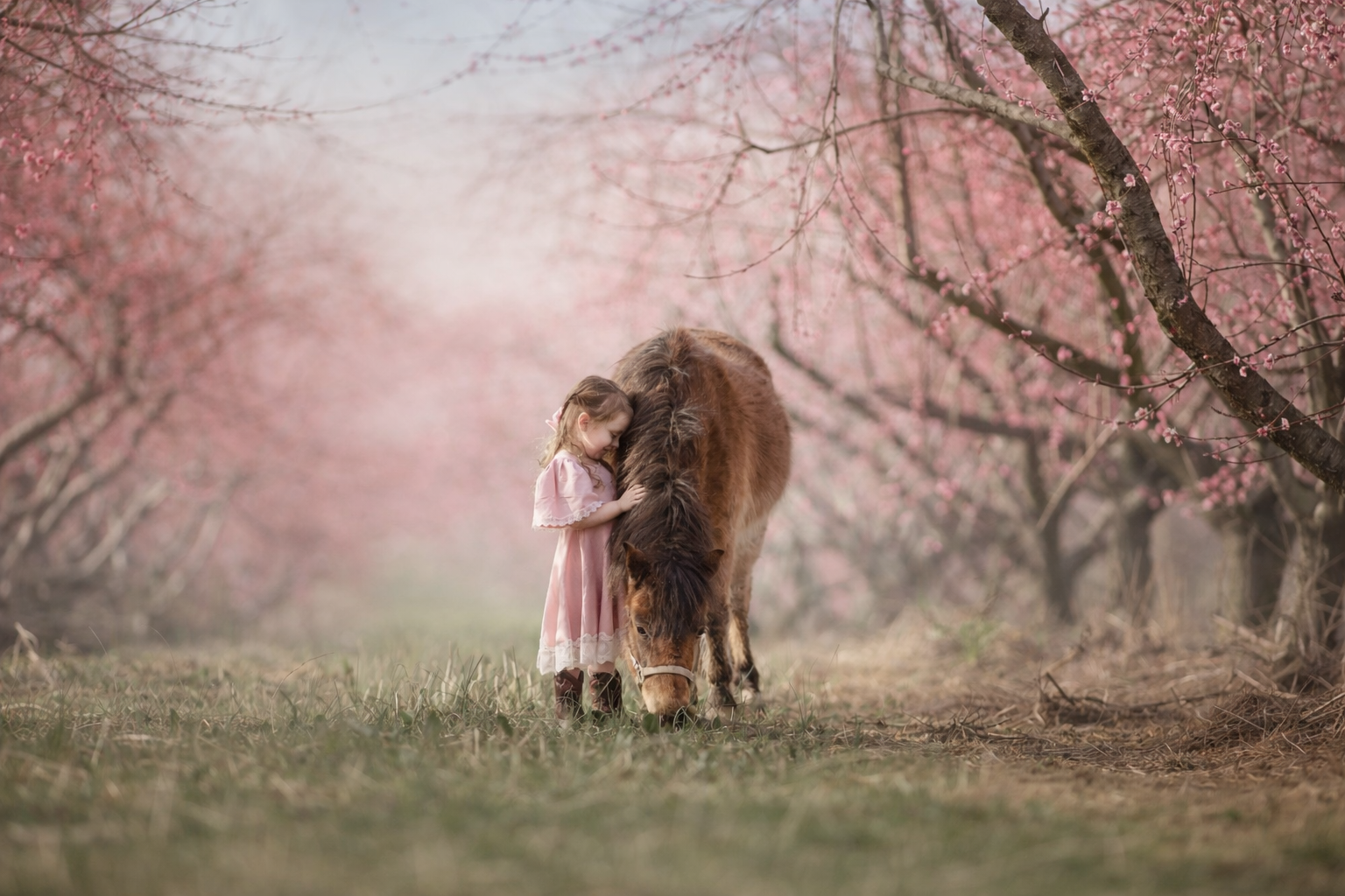 Spring farm portrait of a young child hugging a pony beneath blooming trees in New Jersey, capturing a gentle moment of childhood connection and nature.
