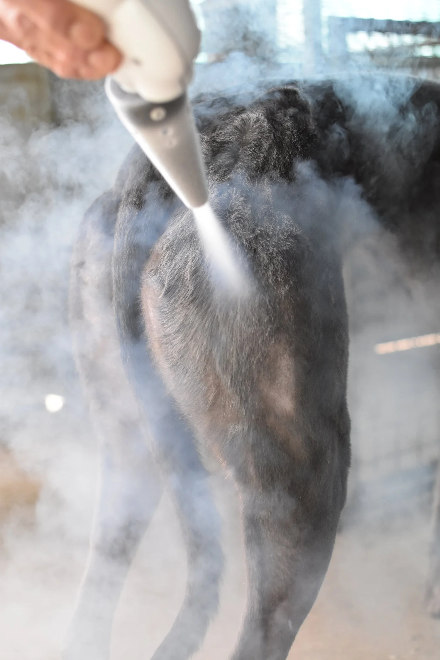 Subzero Cryotherapy Device | Equine & Canine Cryotherapy