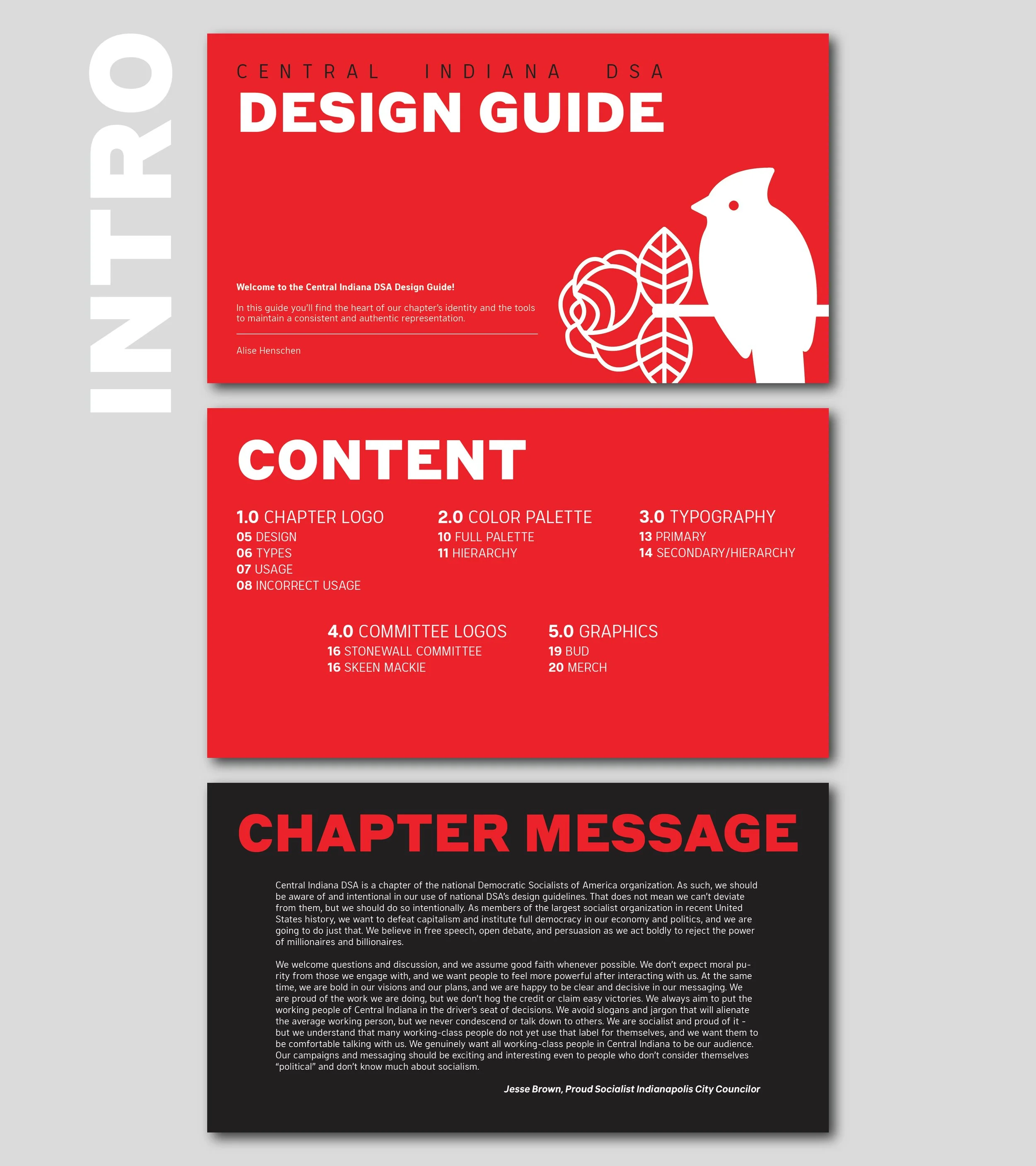 DSA Rebrand Website Pages_SMALLER_INTRO.jpg