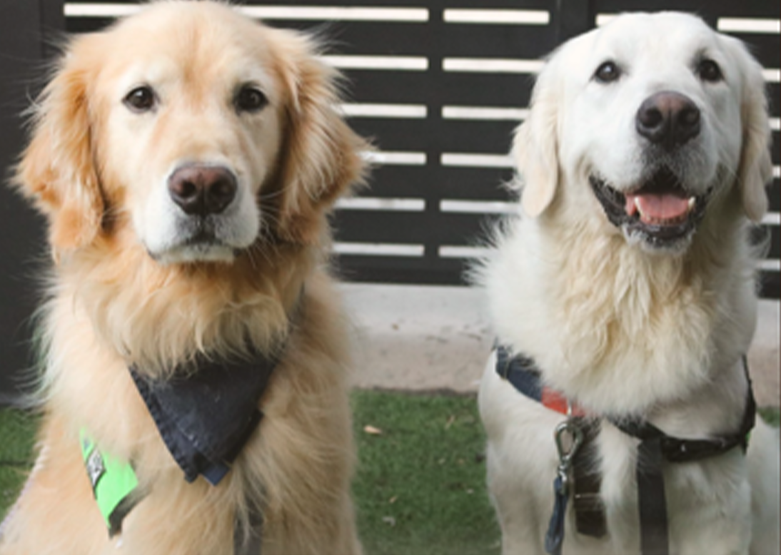 Muddy Paws & Pints