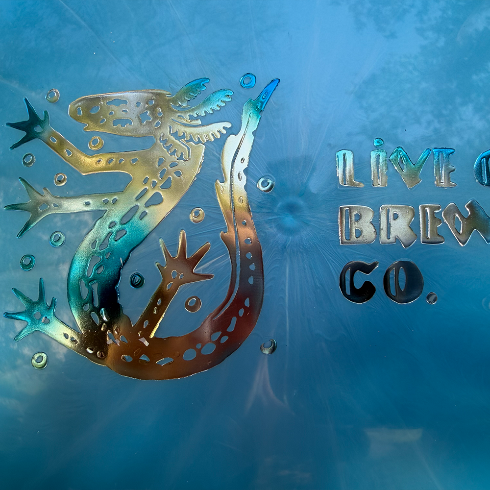 SALAMANDER-BLUE-2.png