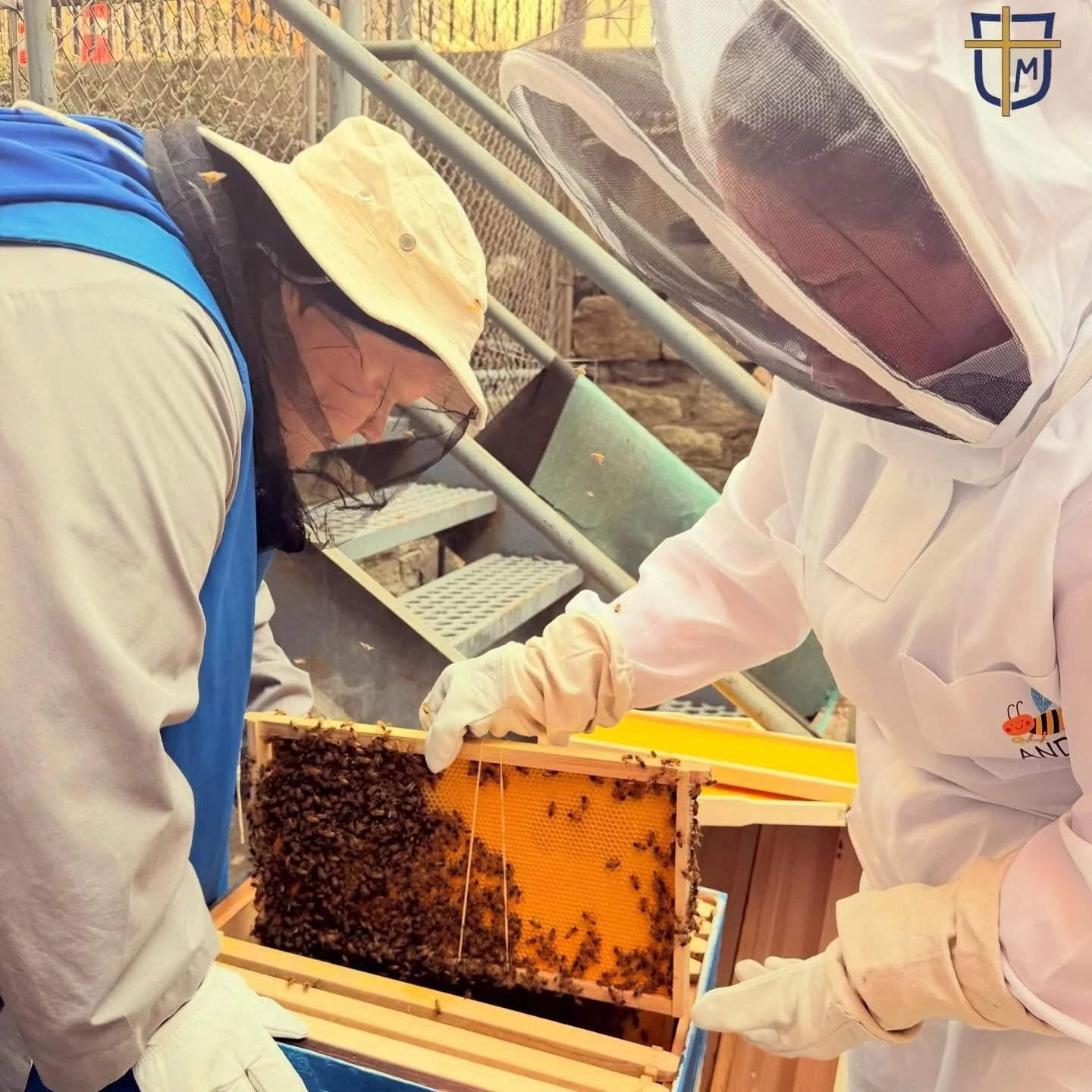 We have a hive! With bees! Here, Sr. Truth is helping our resident bee keeper (and principal!), Mrs. Paglia, look for the queen. Long live the queen! #nyccatholicschool #classicaleducation