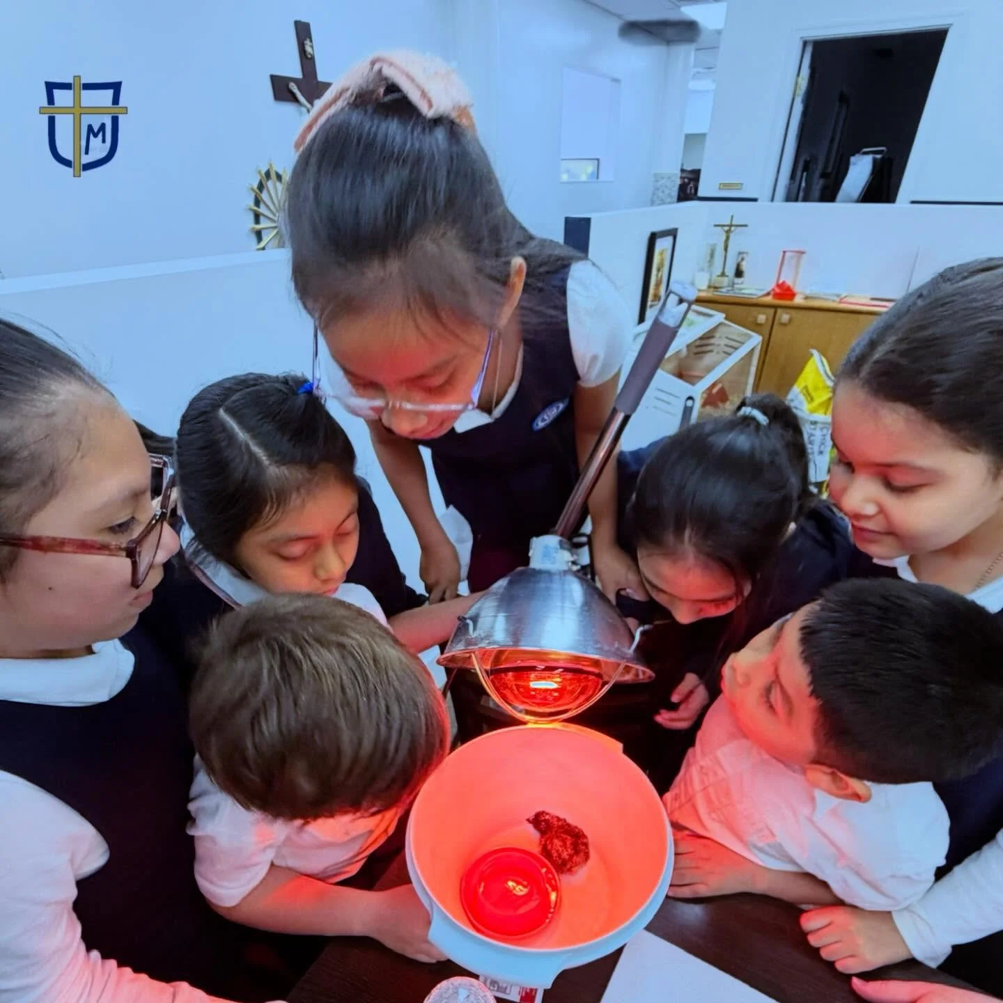 We have baby chicks! Today our eggs started to hatch - 2/12 so far and students and staff can&rsquo;t get enough. All 12 should join be ready to join us for the gala. We hope to see you there! #nyccatholicschool #catholicclassicalcurriculum #nycclass