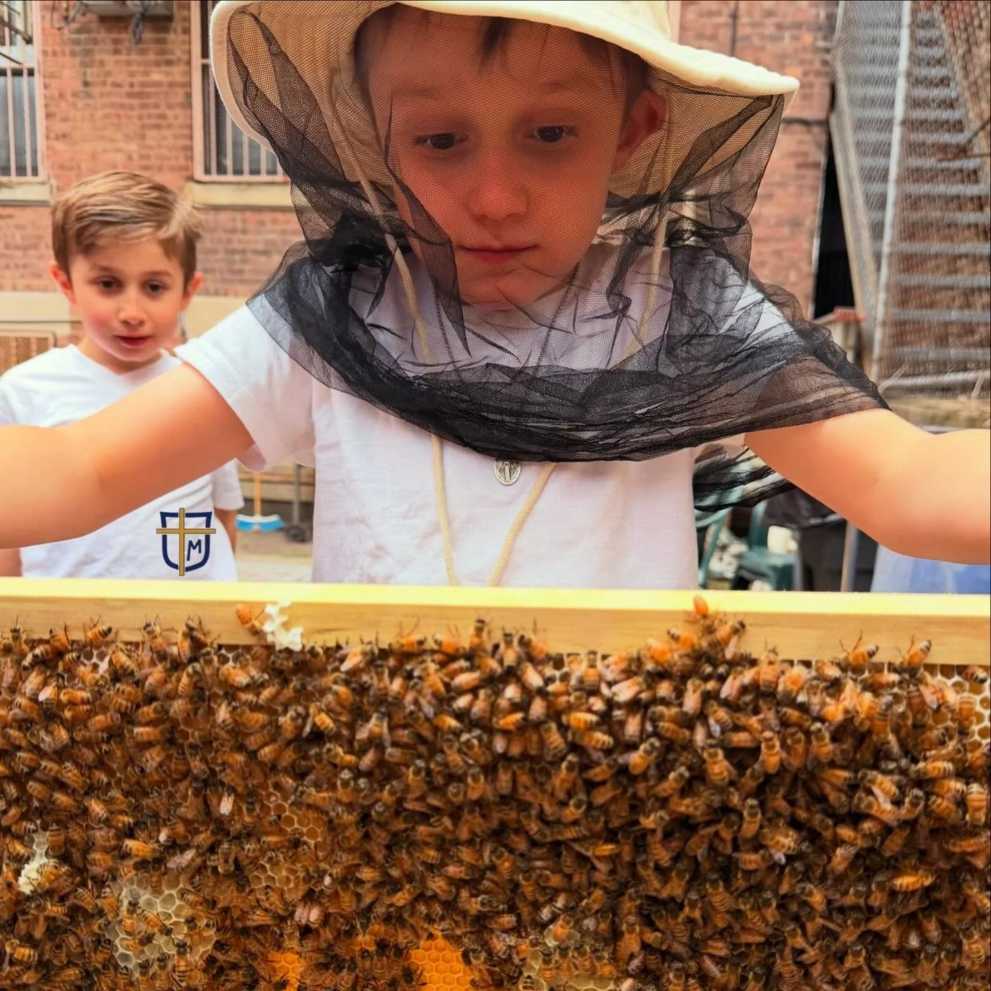Happy Friday from our hive! 🐝 #nyccatholicschool #nycbeekeepers #littlecatholics