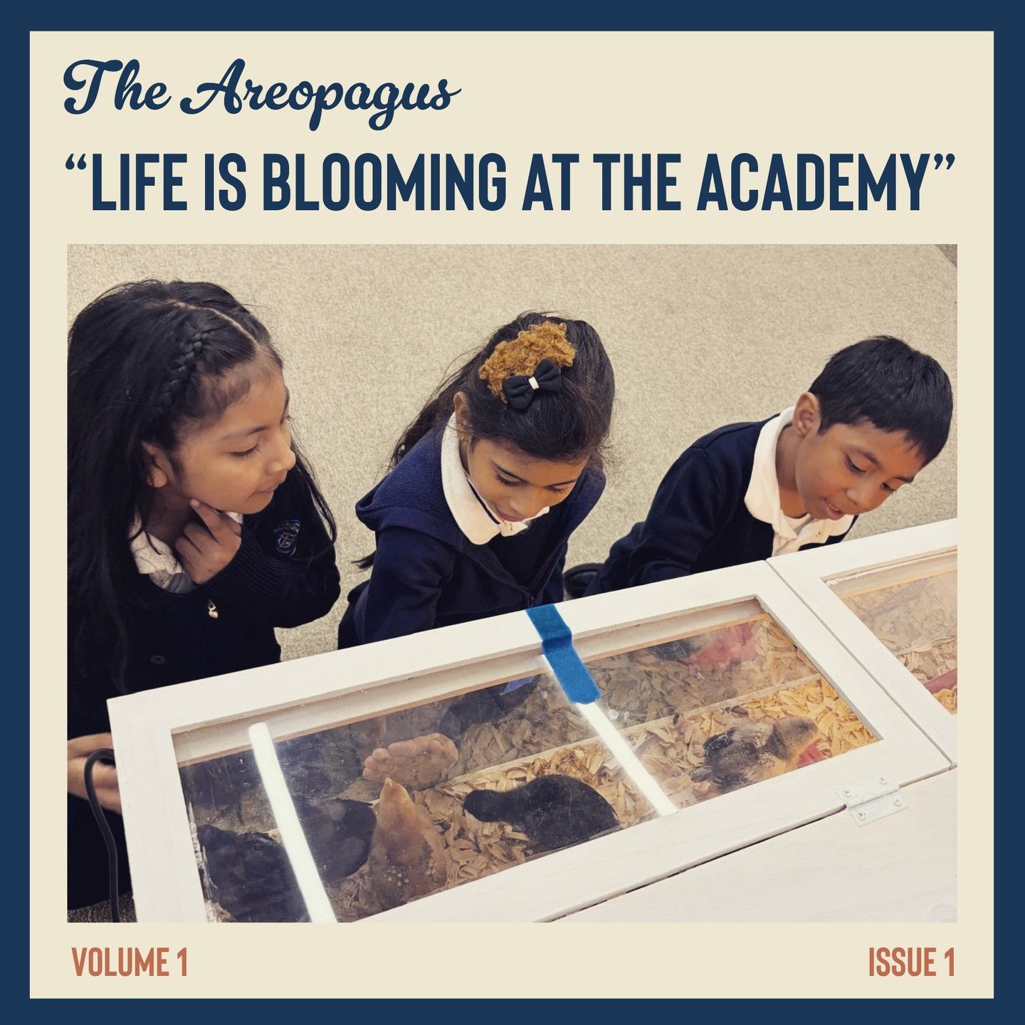 Welcome to The Areopagus &mdash; the official blog of Saint John Paul the Great Academy.

In the Acts of the Apostles, the Areopagus was the place where St. Paul stood in the heart of culture and spoke about truth.

Inspired by that image, this blog 