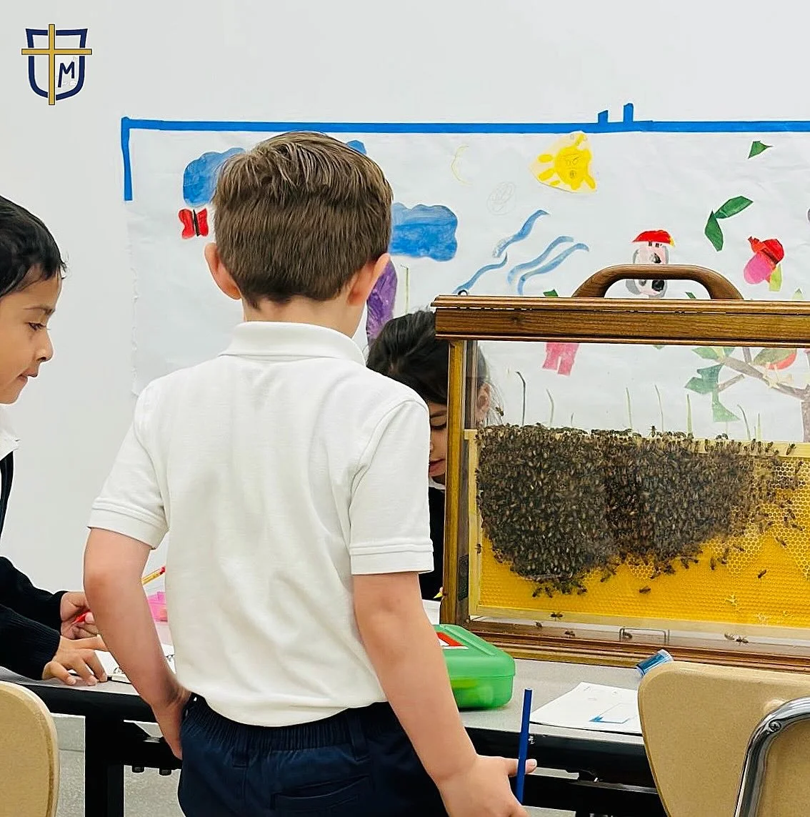 Learning about our bees through the observation box. We have a large hive outside but this box allows students to see a portion of them on a beehive panel. #nyccatholicschool #catholicclassicalcurriculum #classicaleducation