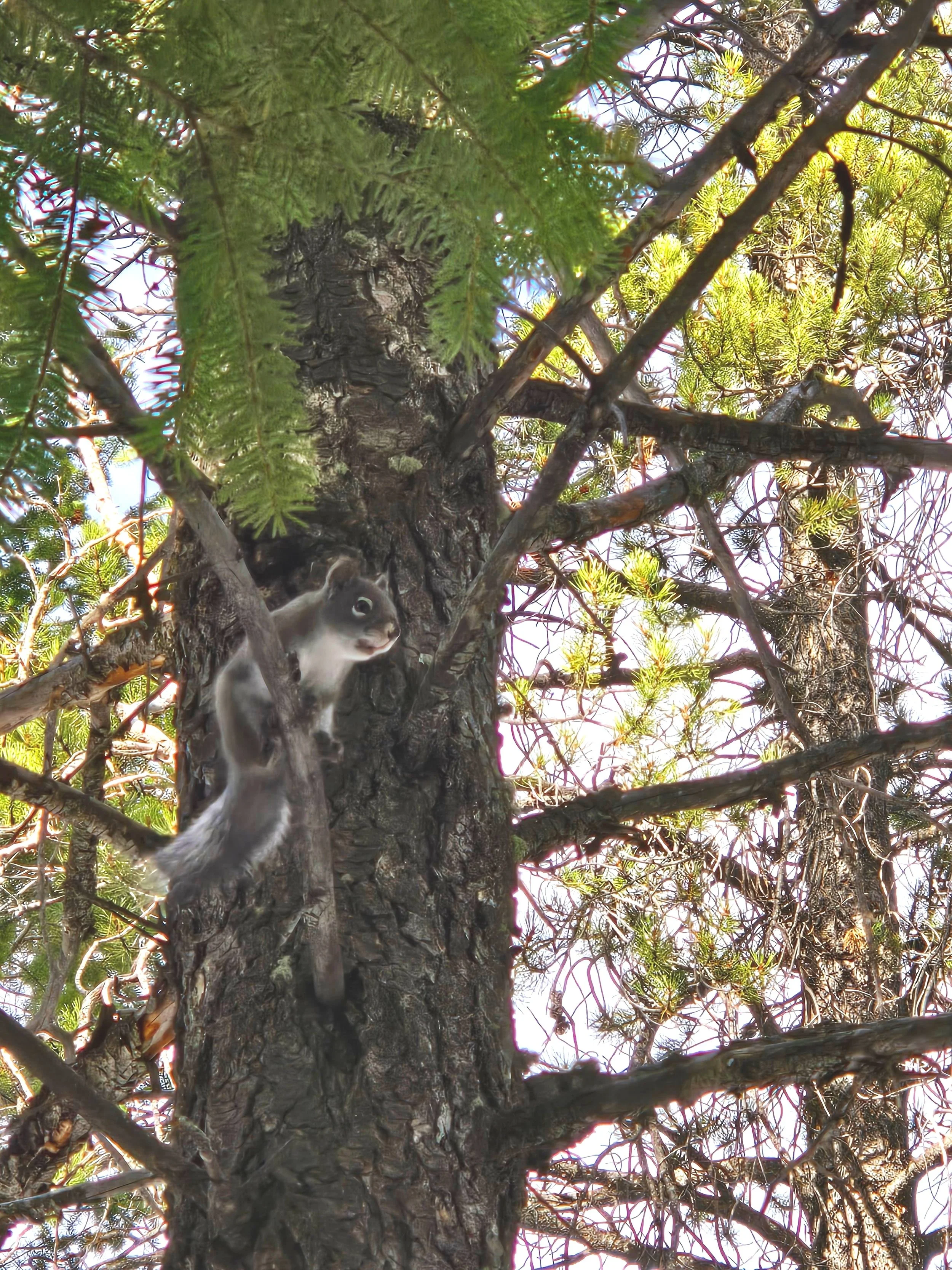Appointments 2 — Raspberry Hot Springs Reservation Only