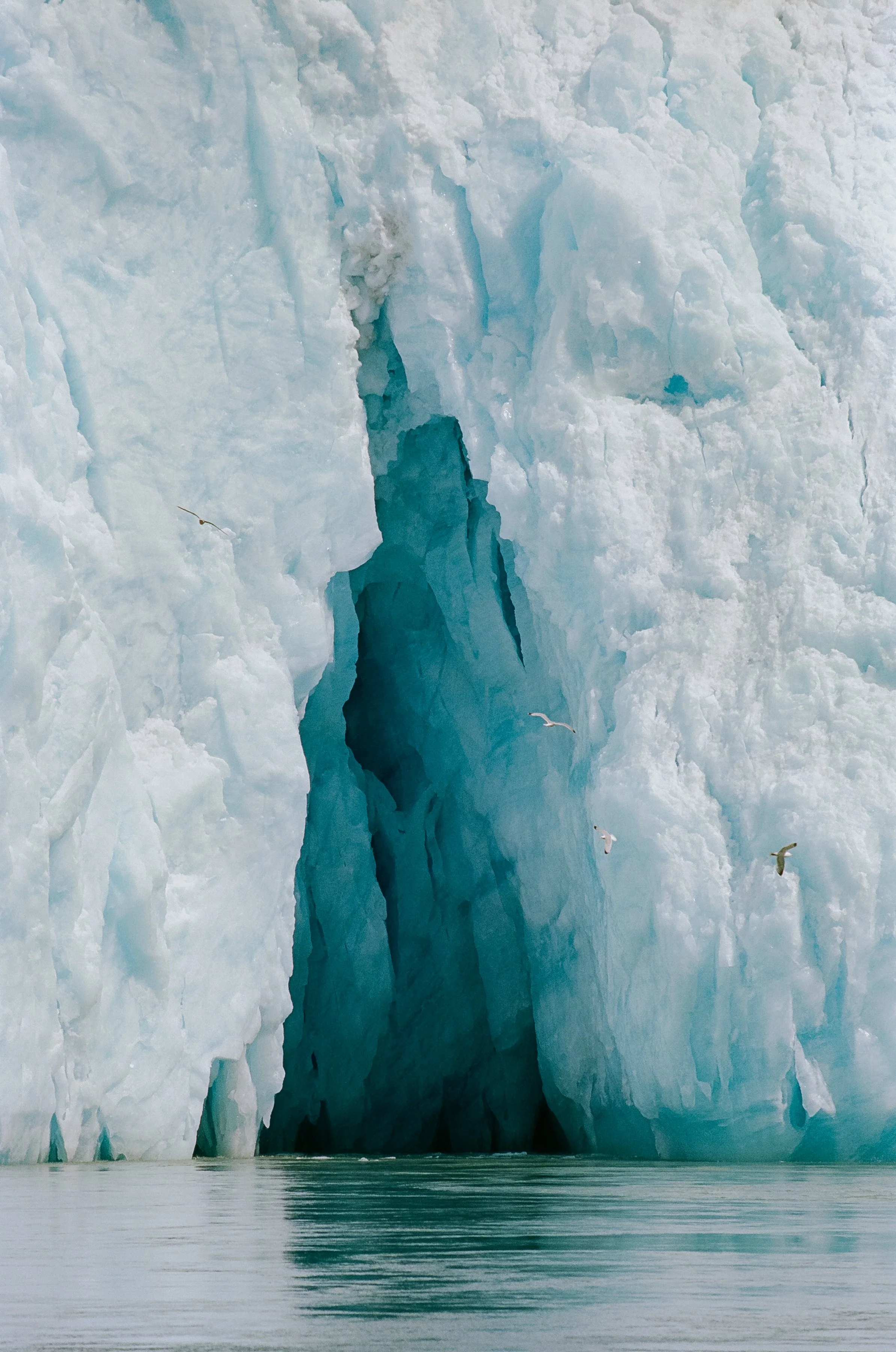 Landscape photograph of LeConte Glacier in Southeast Alaska