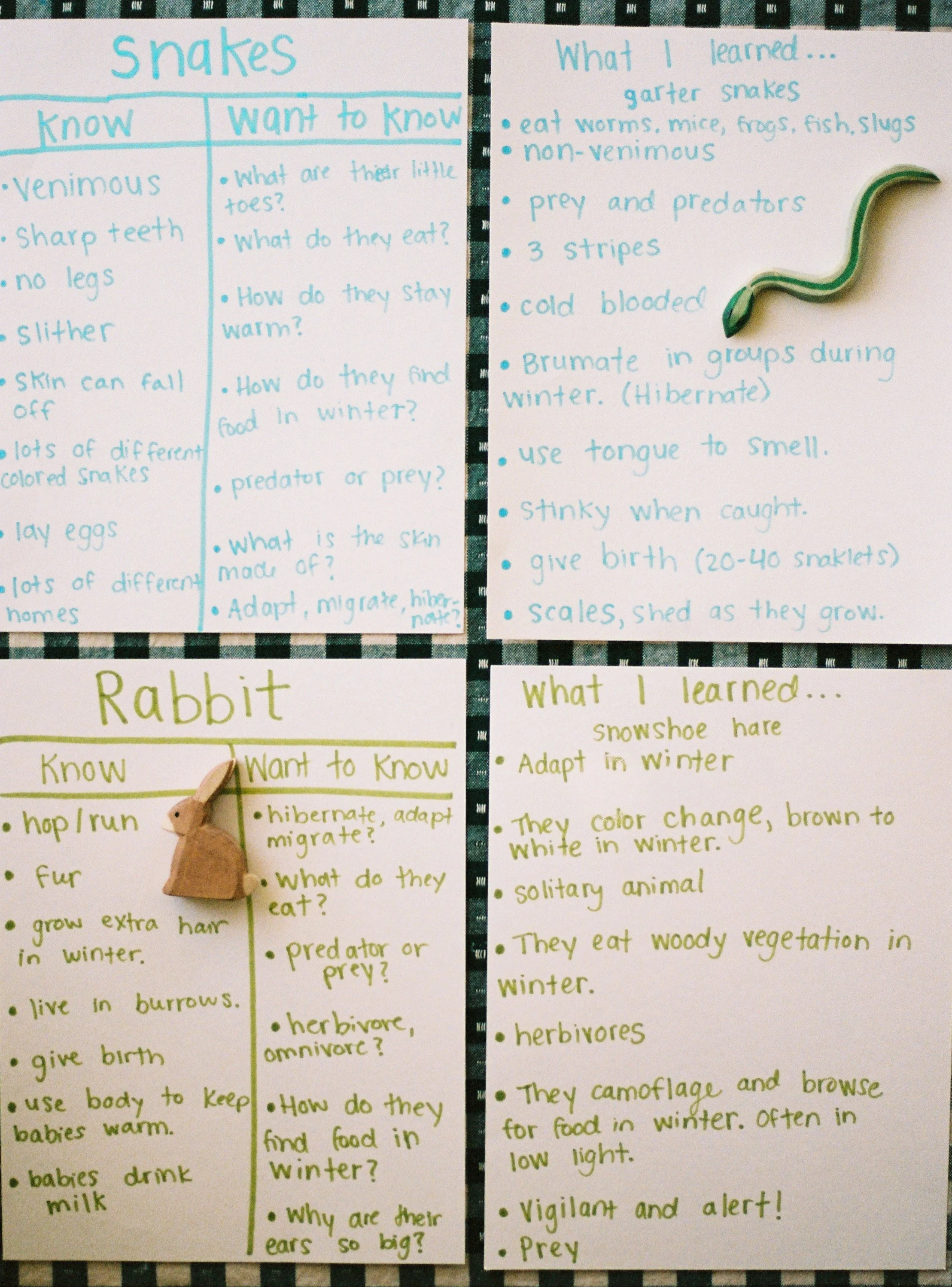 Photo Jan 01 2024, 11 20 53 AM.jpg