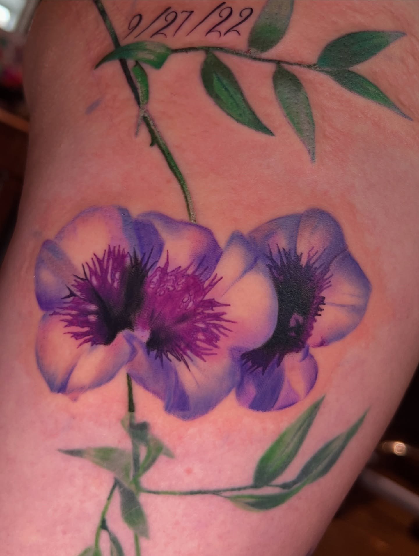 Petunias & Vines for Jayme last week!
Lower section is healed!🌸
-
#petuniatattoo #petunia #floraltattoos #vinetattoo #mntattooers #mntattoo