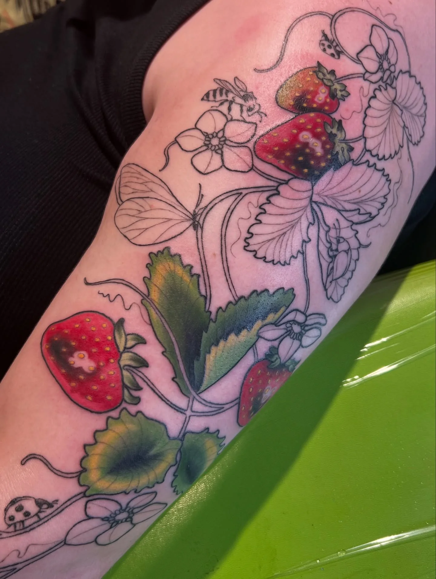 Some recent WIP pieces!
So excited to finish all of these!!
2nd & 3rd slides are coverups!
-
#wiptattoo #floraltattoos #strawberrytattoo #mntattooers #mntattooartist