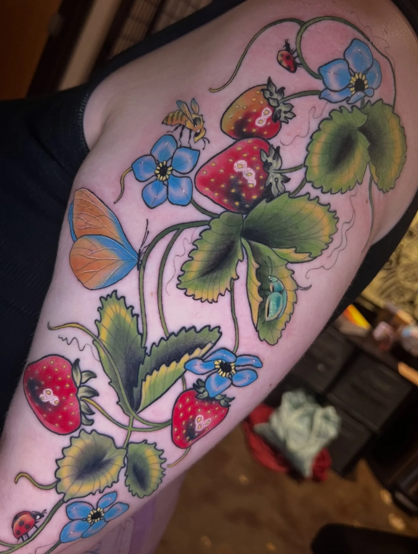 Finished Strawberry Garden for Hannah yesterday!🍓
Most of the leaves and all of the strawberries are healed w some small touch ups!
-
#strawberrytattoo #vinetattoo #ladybugtattoo #beetattoo #neotradstrawberry #mntattooers #mntattooartist