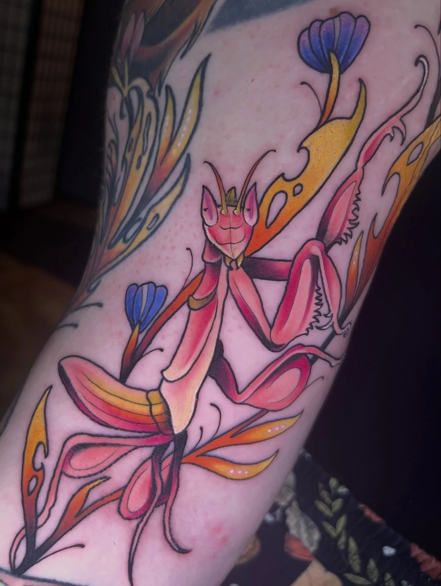 Orchid Mantis added to Emily’s sleeve earlier this week!🌸
Swipe to see the healed parts!
-
#mantistattoo #orchidmantis #orchidmantistattoo #bugtattoo #mntattoo #mntattooartist